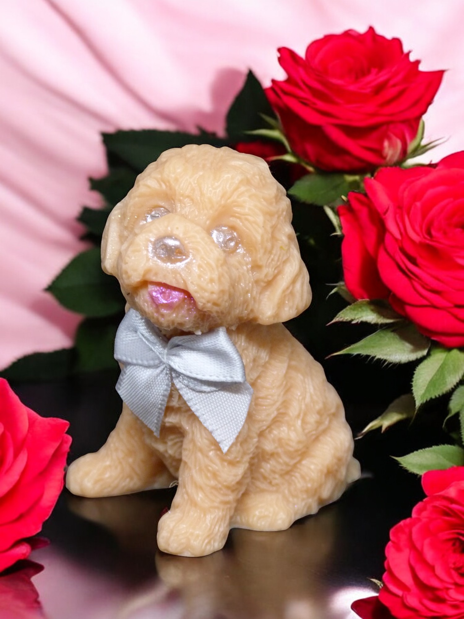 (image for) Labradoodle Zeepje met Mica