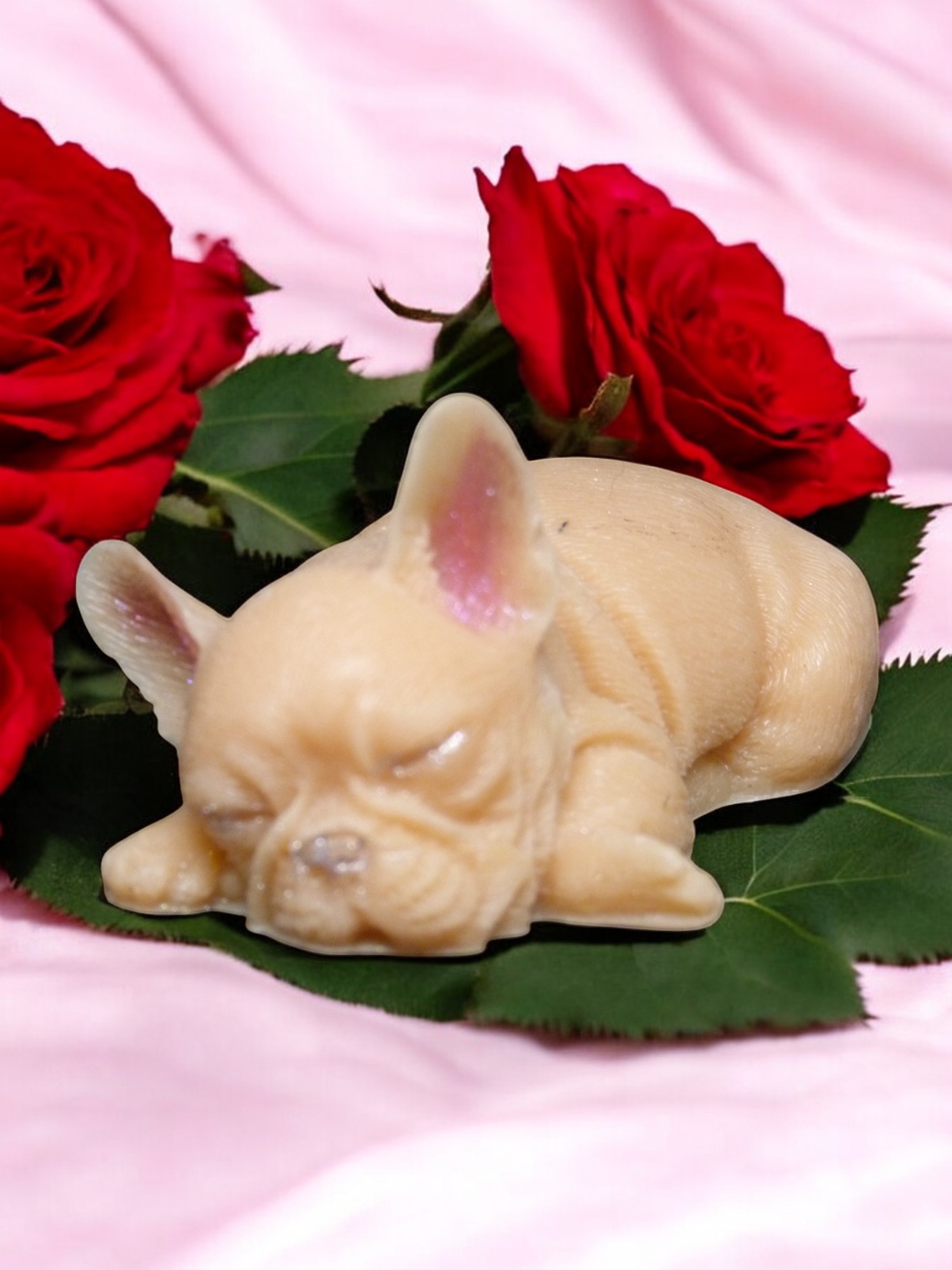 (image for) Franse Buldog Zeepje met Mica Klein