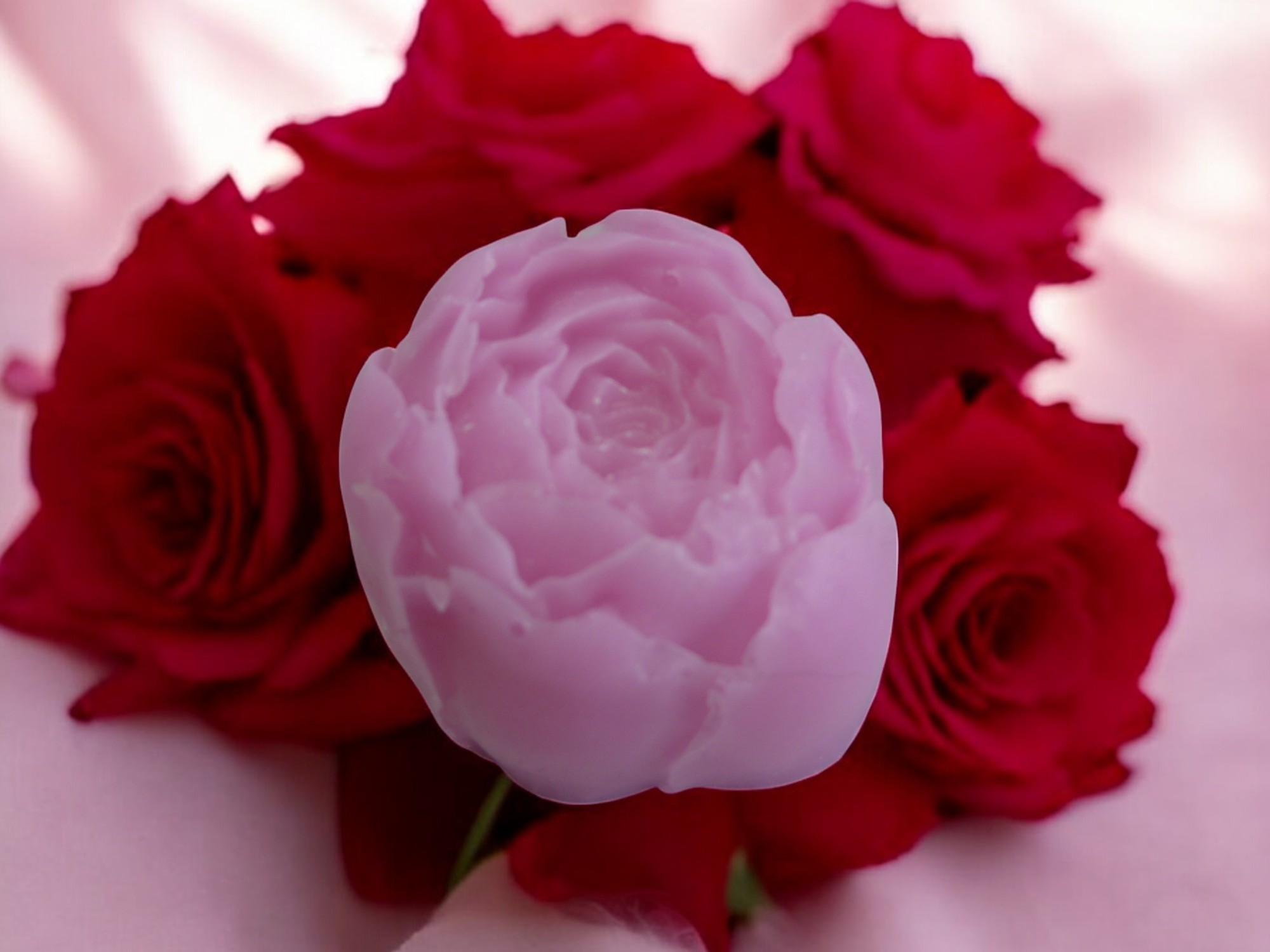 (image for) Kleine Pioenroos Zeepje Nr 2