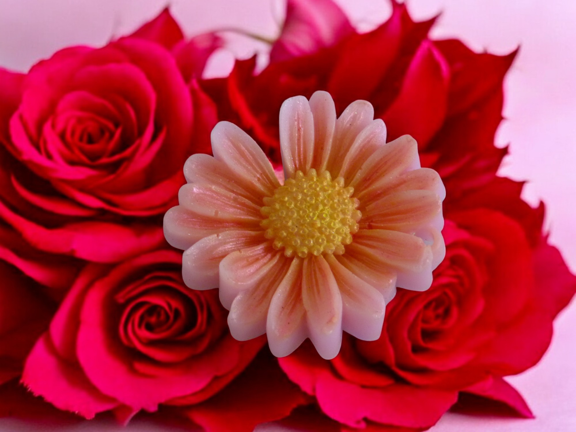 Margriet Zeepje met Mica (image for) Margriet Zeepje met Mica