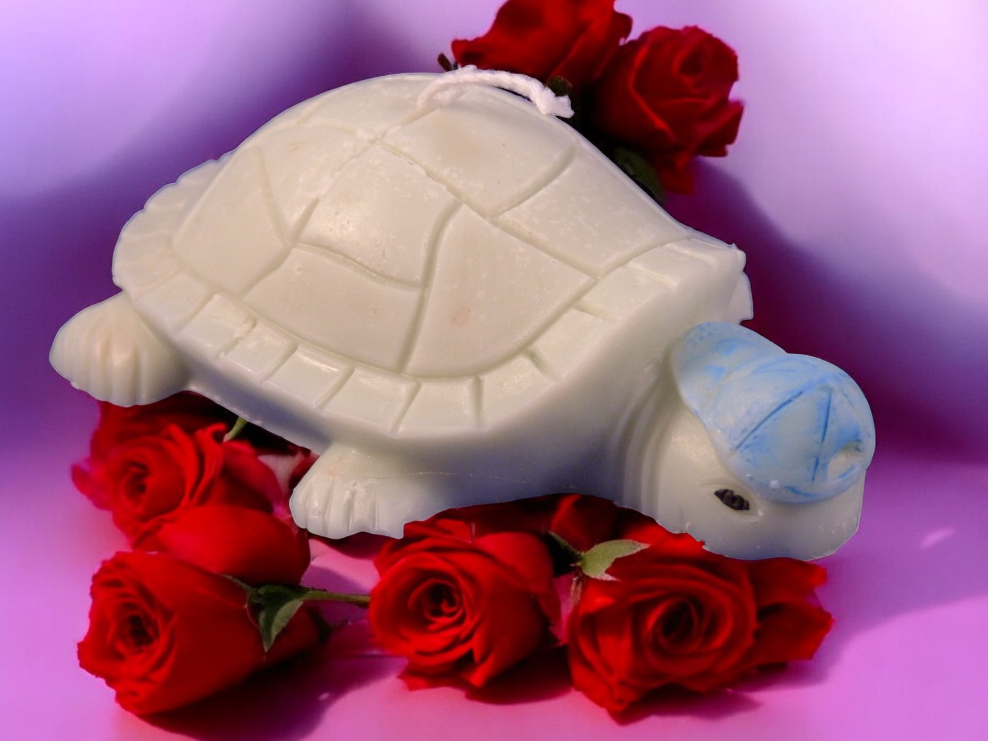 Schildpad met Pet Kaars (image for) Schildpad met Pet Kaars