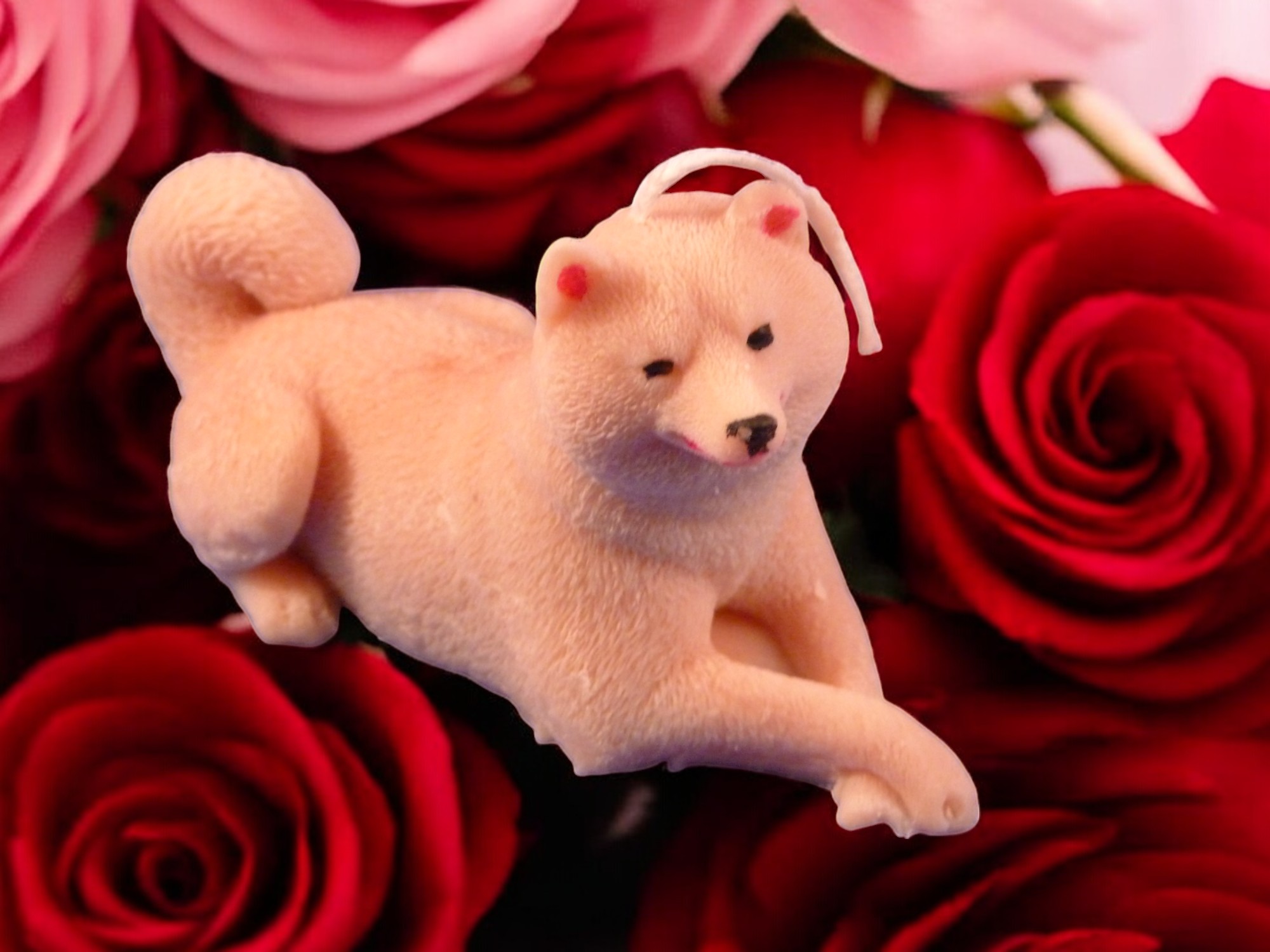 (image for) Shiba Kaars