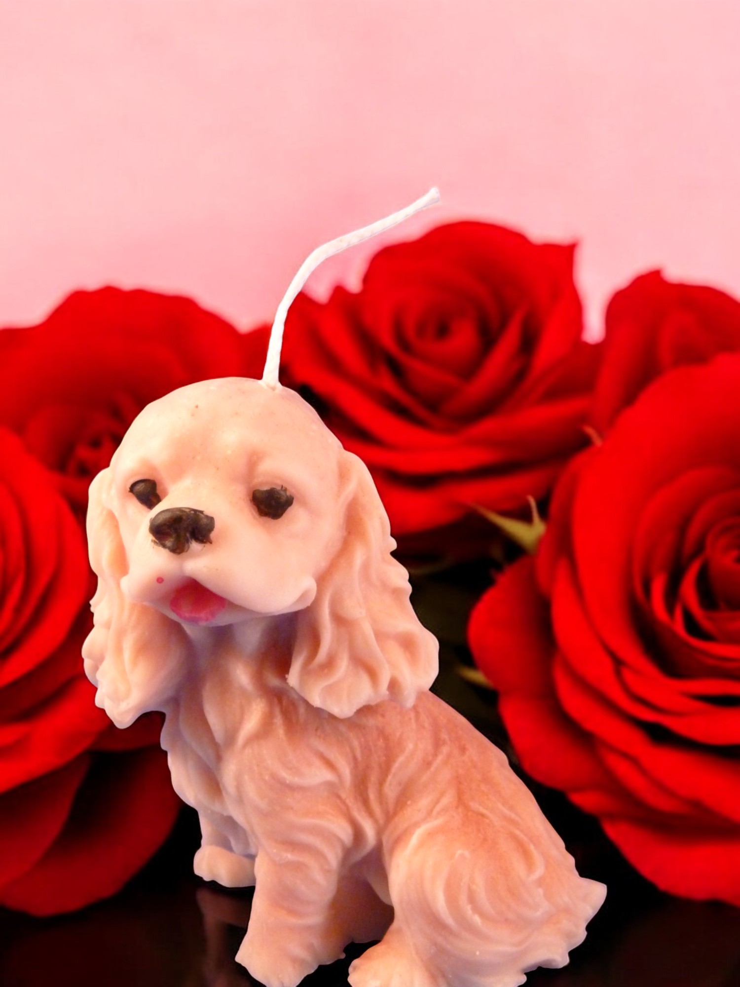 (image for) Cavalier-kingcharlesspaniël Kaars