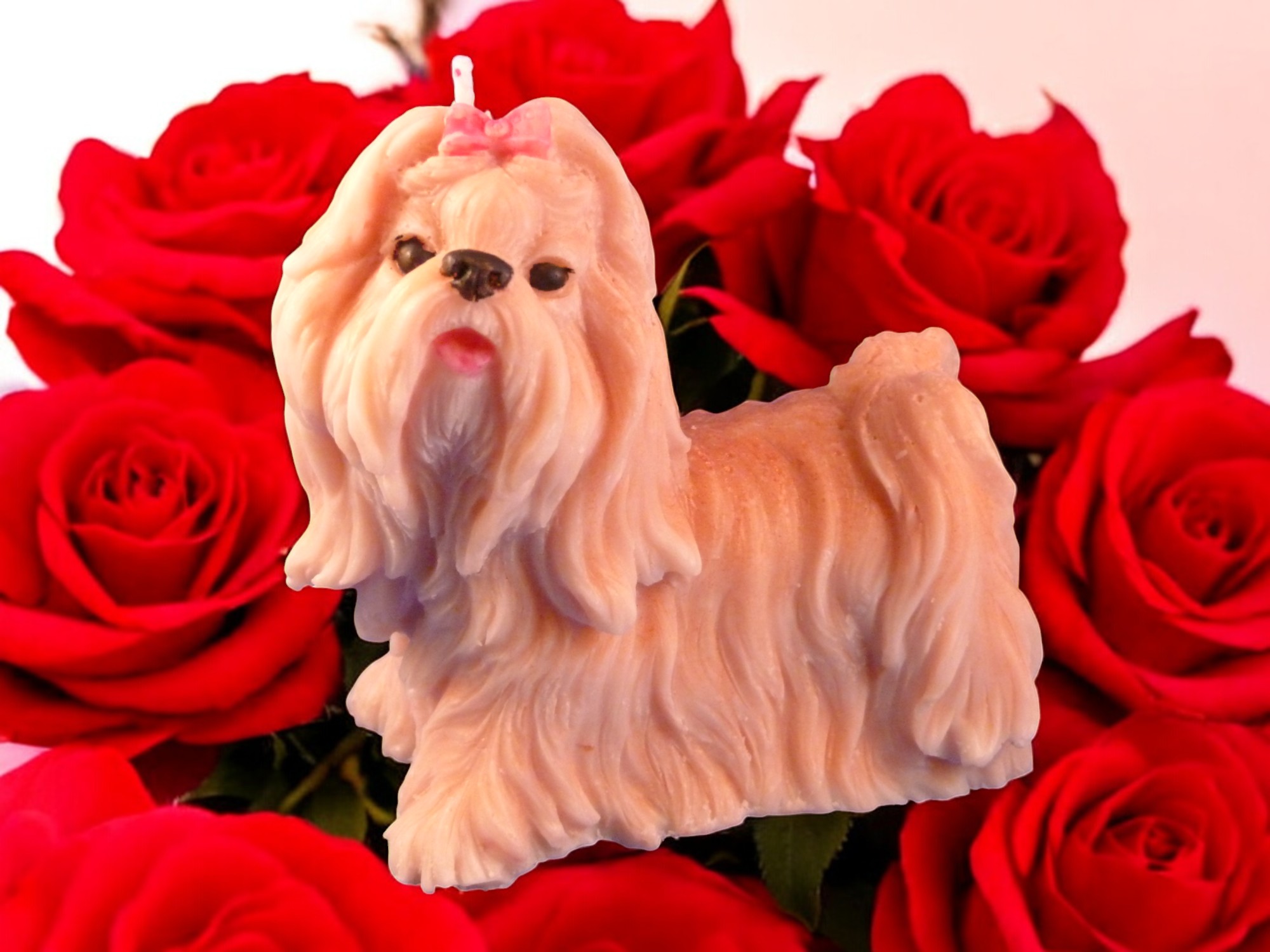 Shih Tzu Kaars (image for) Shih Tzu Kaars