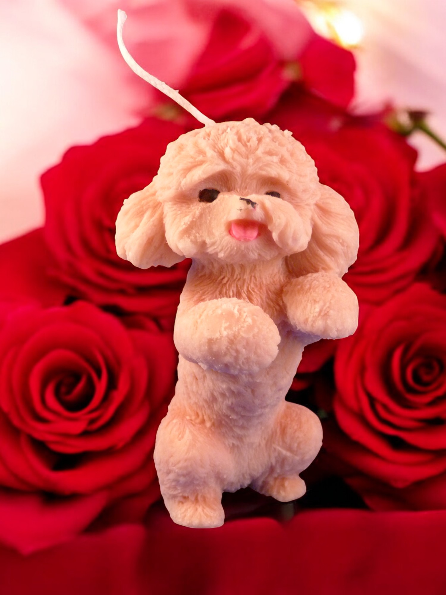 (image for) Poedel Kaars