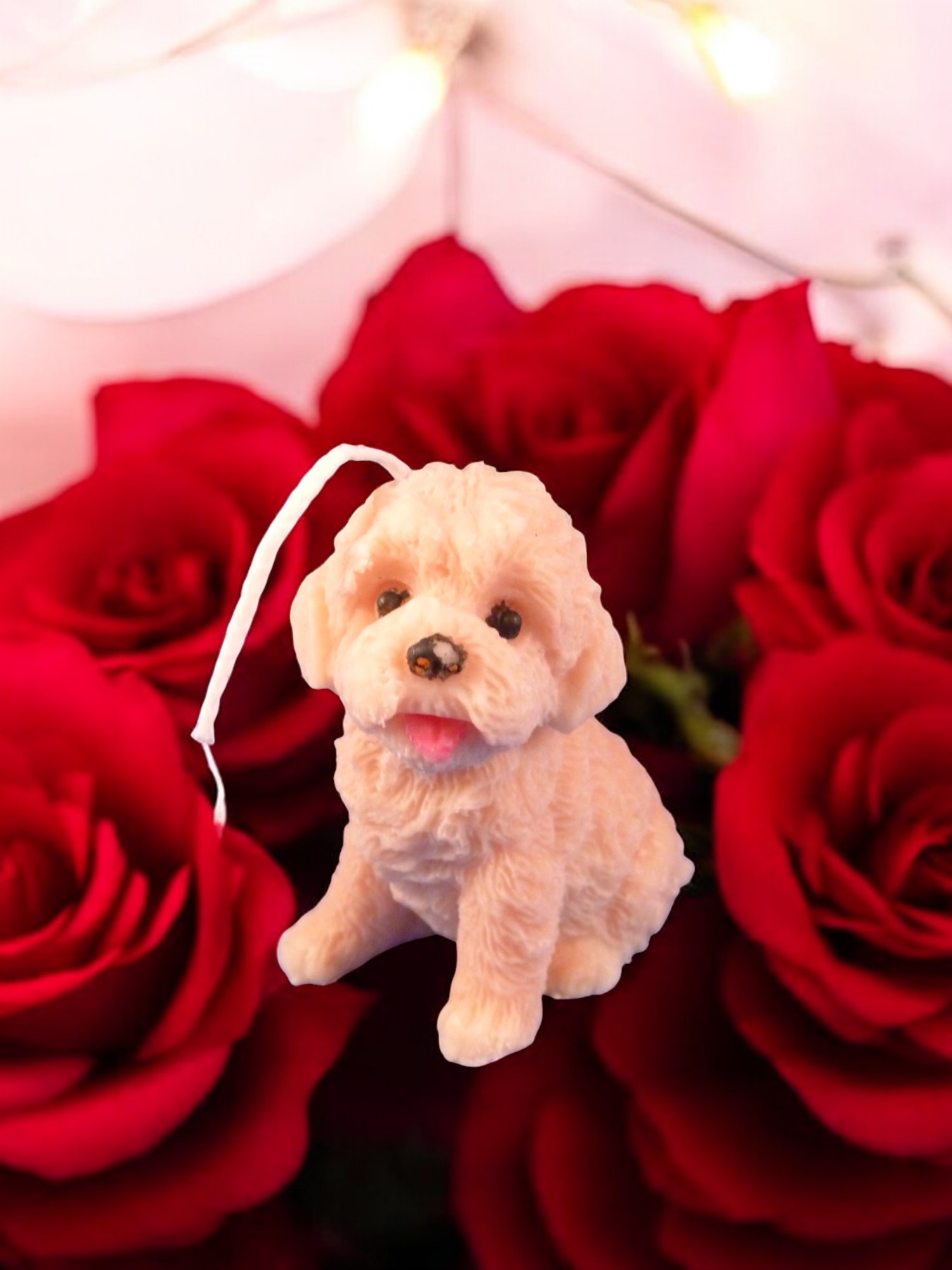 (image for) Labradoodle Kaars