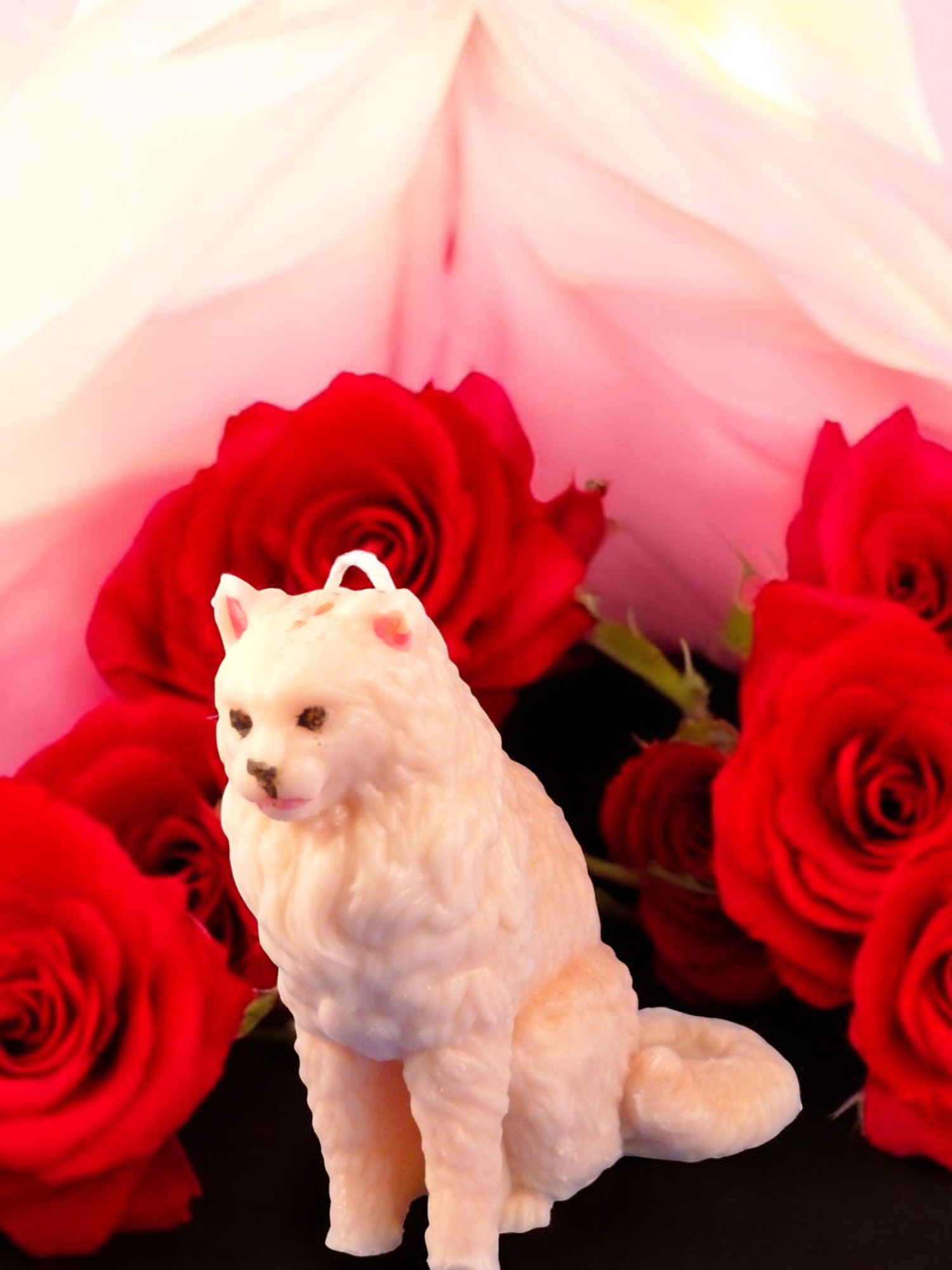 Maine Coon Kaars (image for) Maine Coon Kaars