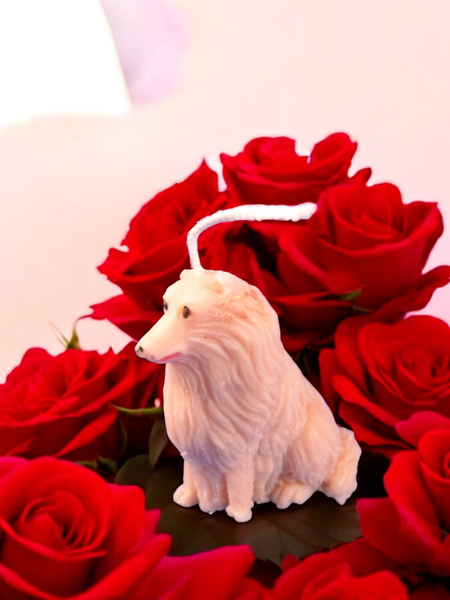 Schotse herdershond (Collie) Kaars Klein (image for) Schotse herdershond (Collie) Kaars Klein