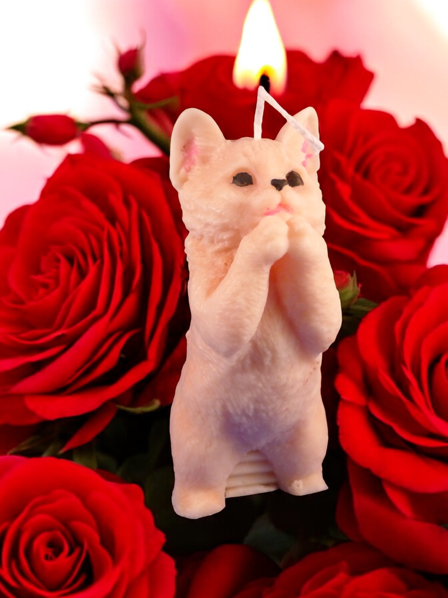 (image for) Bedelende Kat Kaars