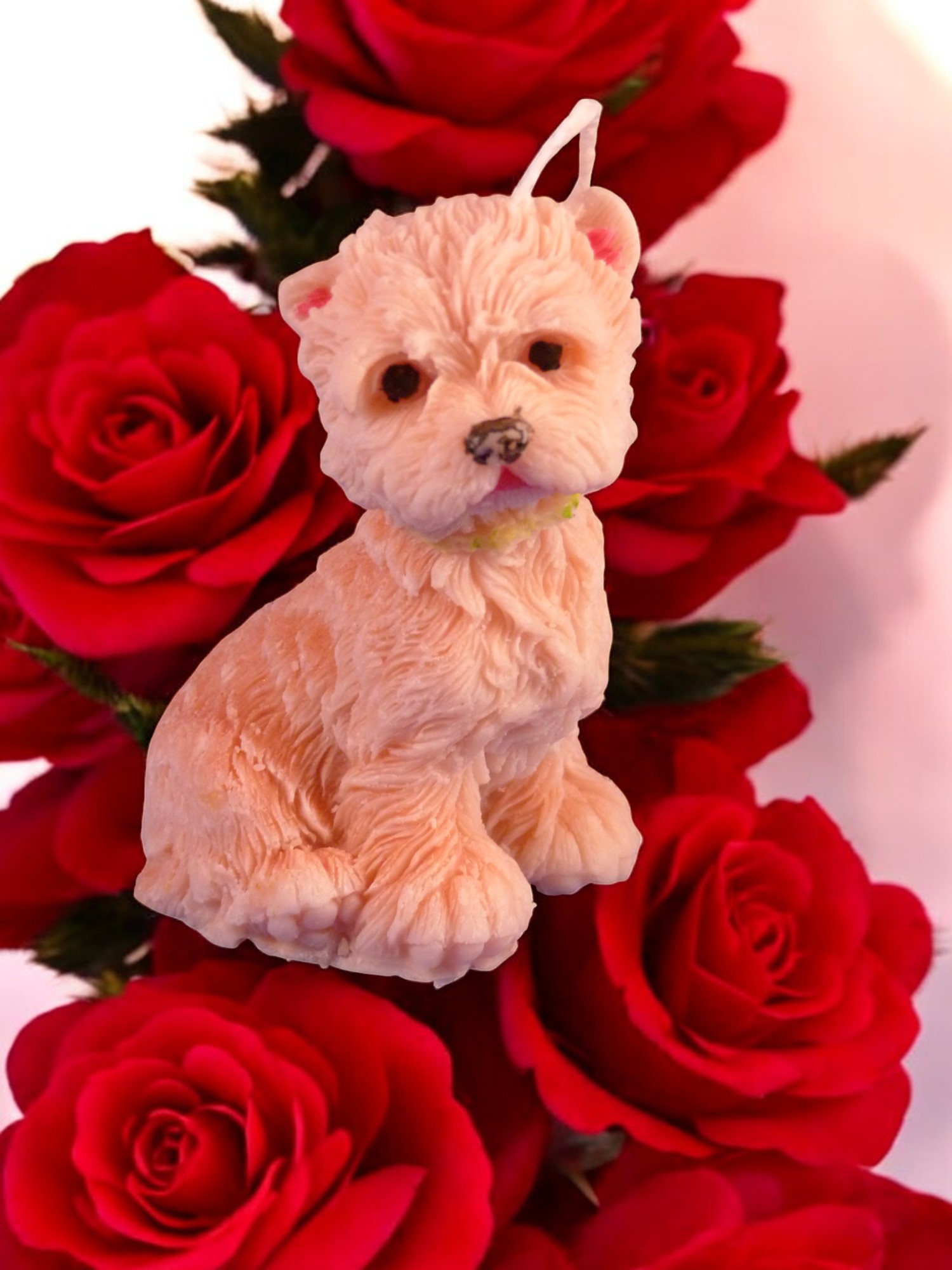 West Highland White Terrier (Westey) Kaars (image for) West Highland White Terrier (Westey) Kaars