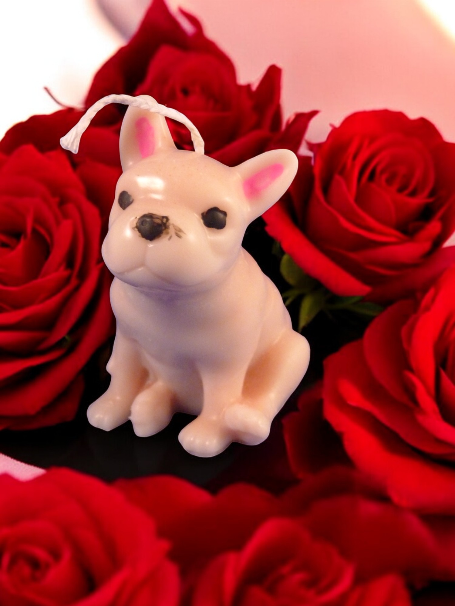 Buldog Kaars (image for) Buldog Kaars