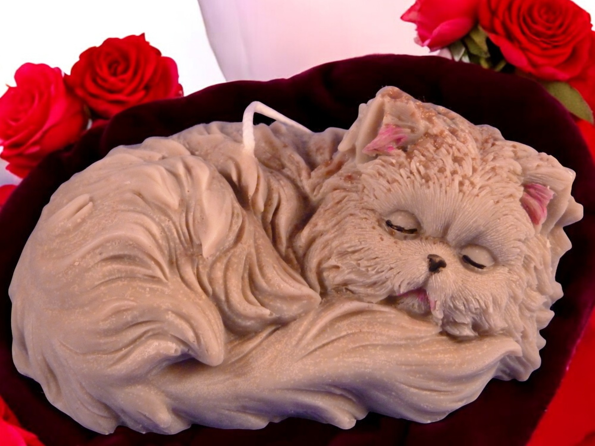 Perzische Kat Kaars (image for) Perzische Kat Kaars