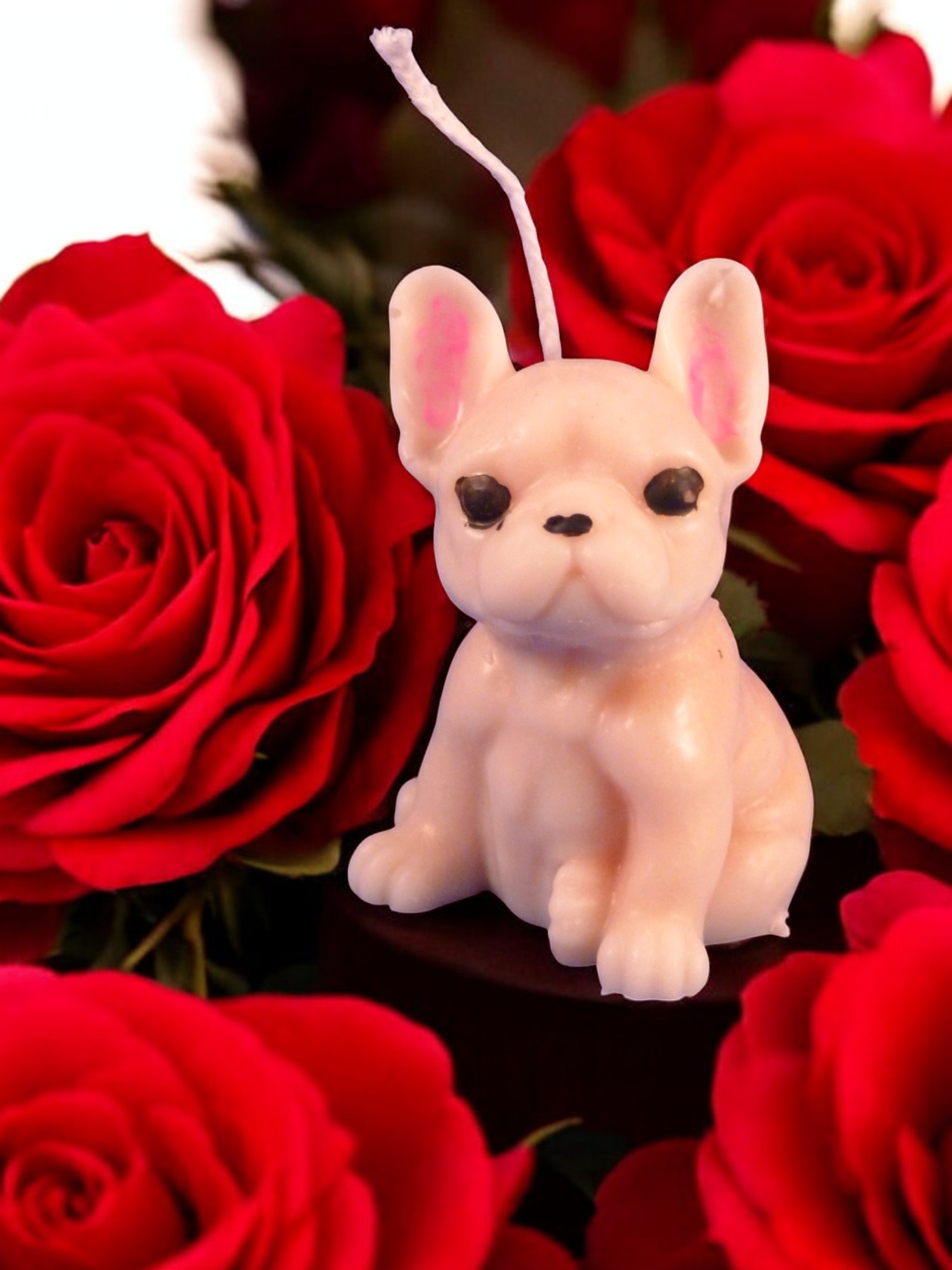 (image for) Franse Buldog Kaars Groot