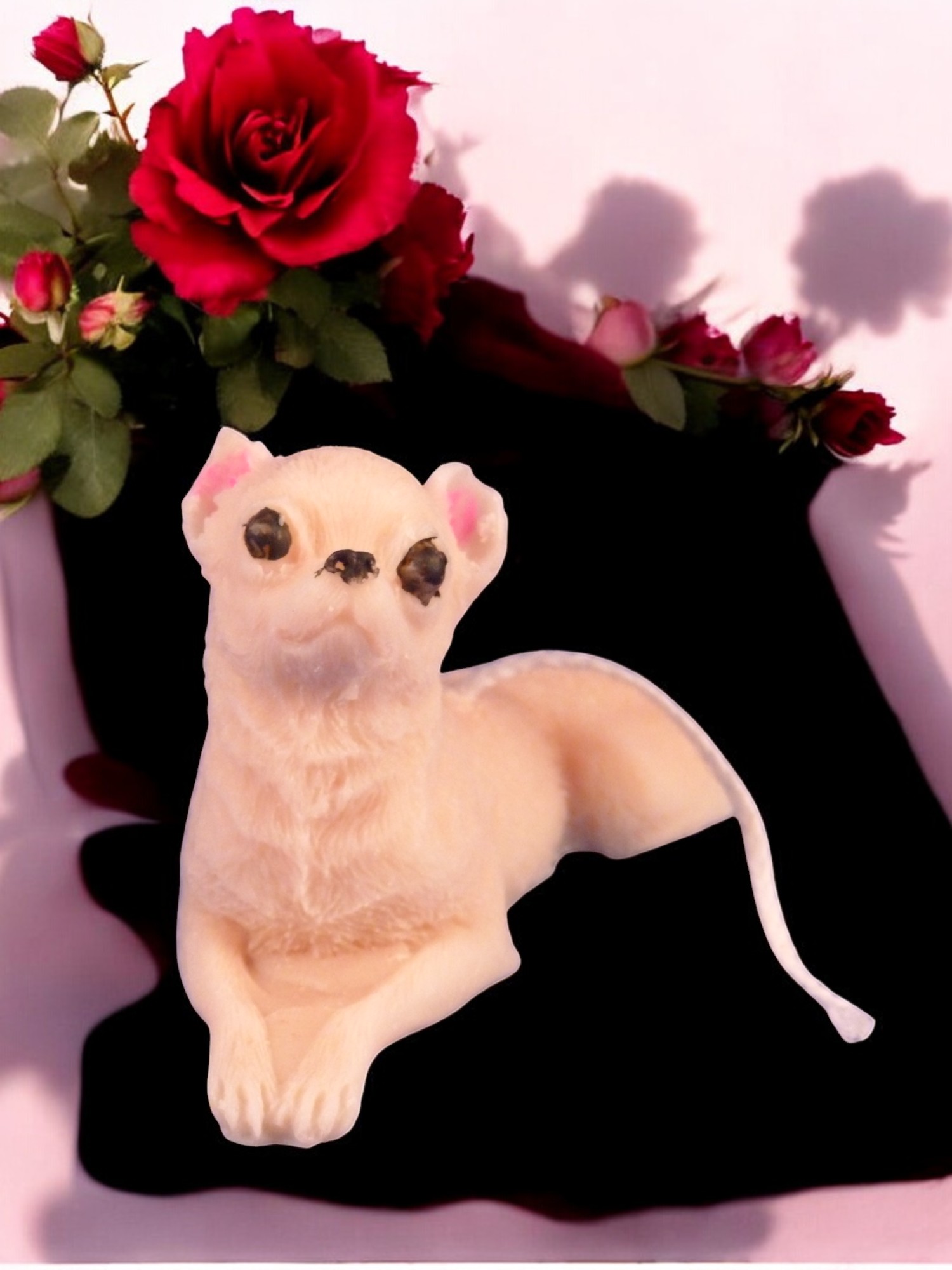 Chihuahua Kaars (image for) Chihuahua Kaars