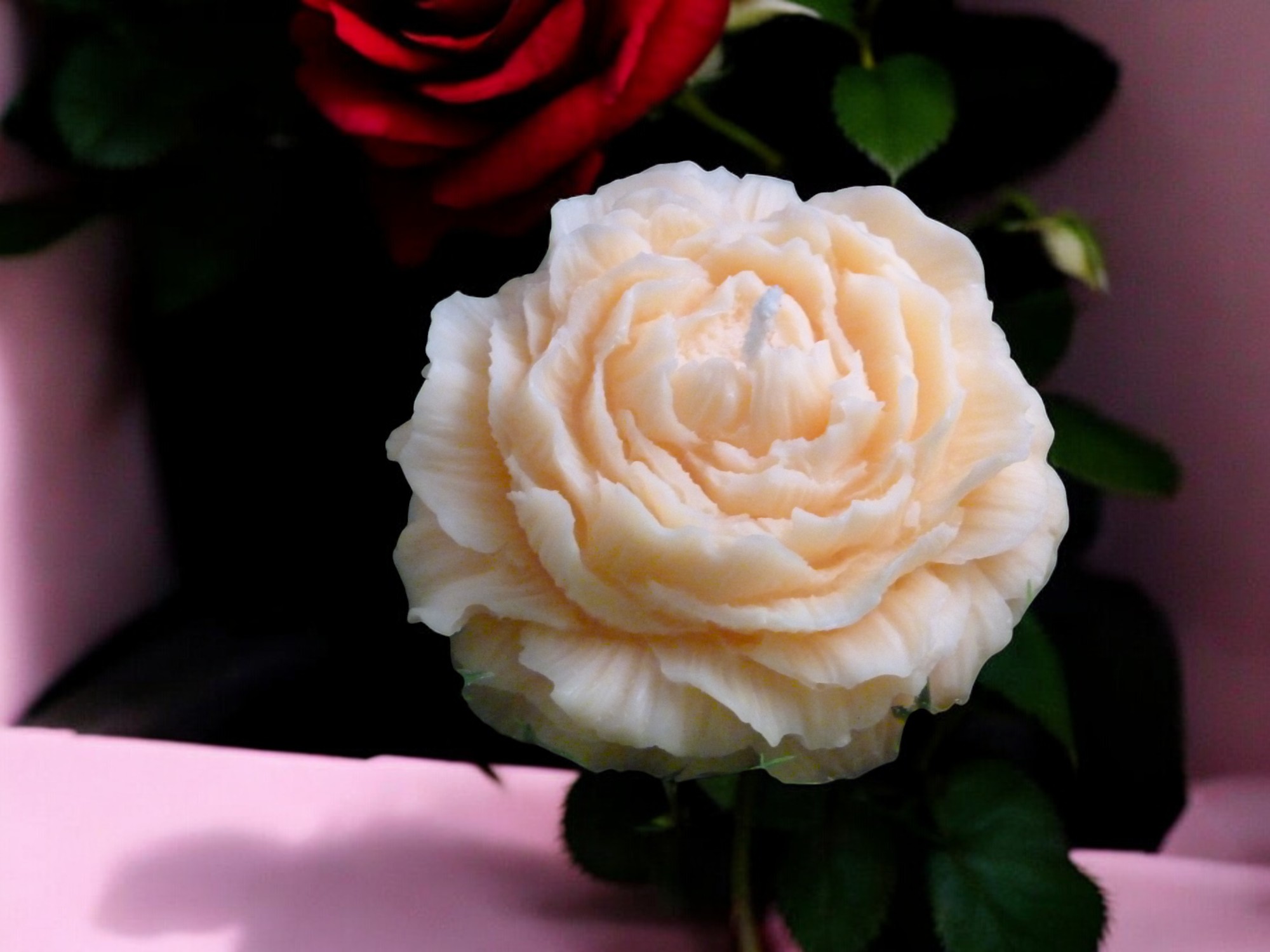 Grote Roos Kaars Nr 2 (image for) Grote Roos Kaars Nr 2