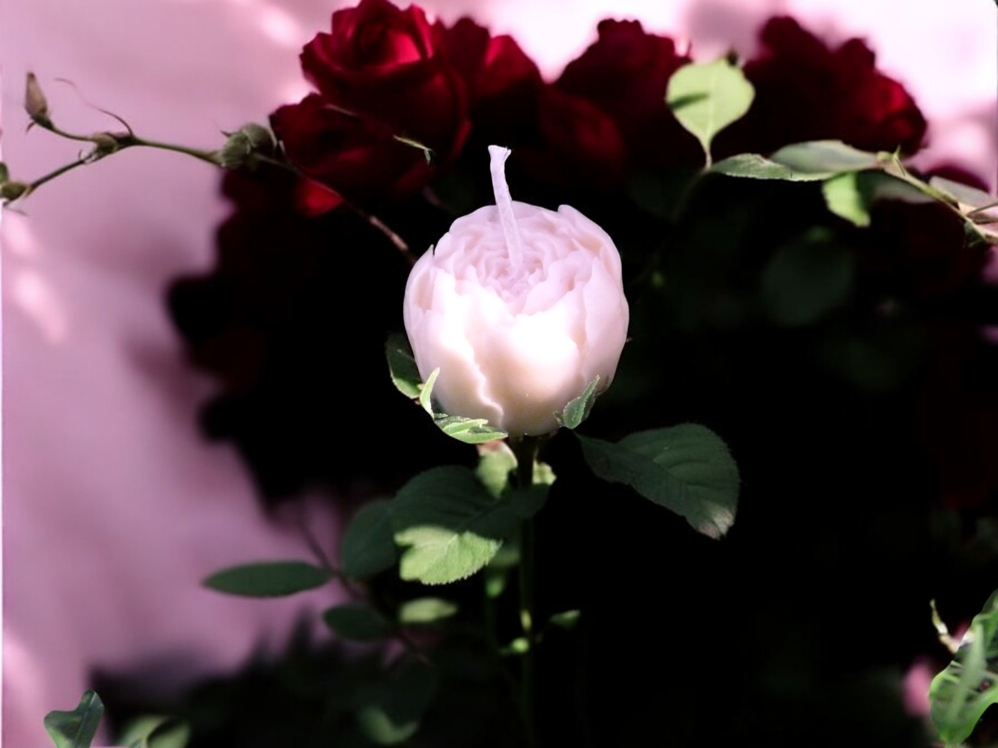 (image for) Kleine Pioenroos Kaars Nr 2