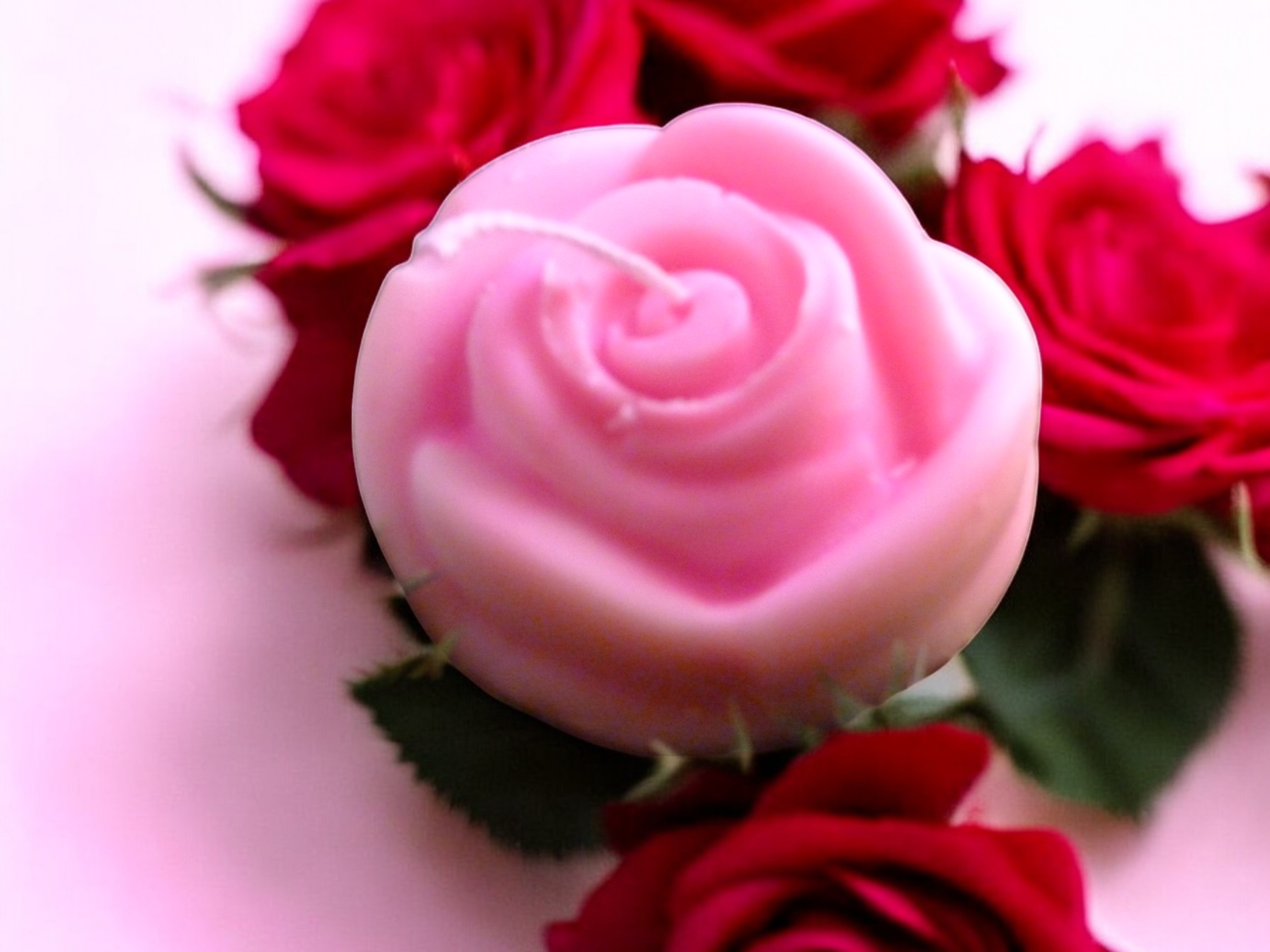 (image for) 3D Roos Kaars