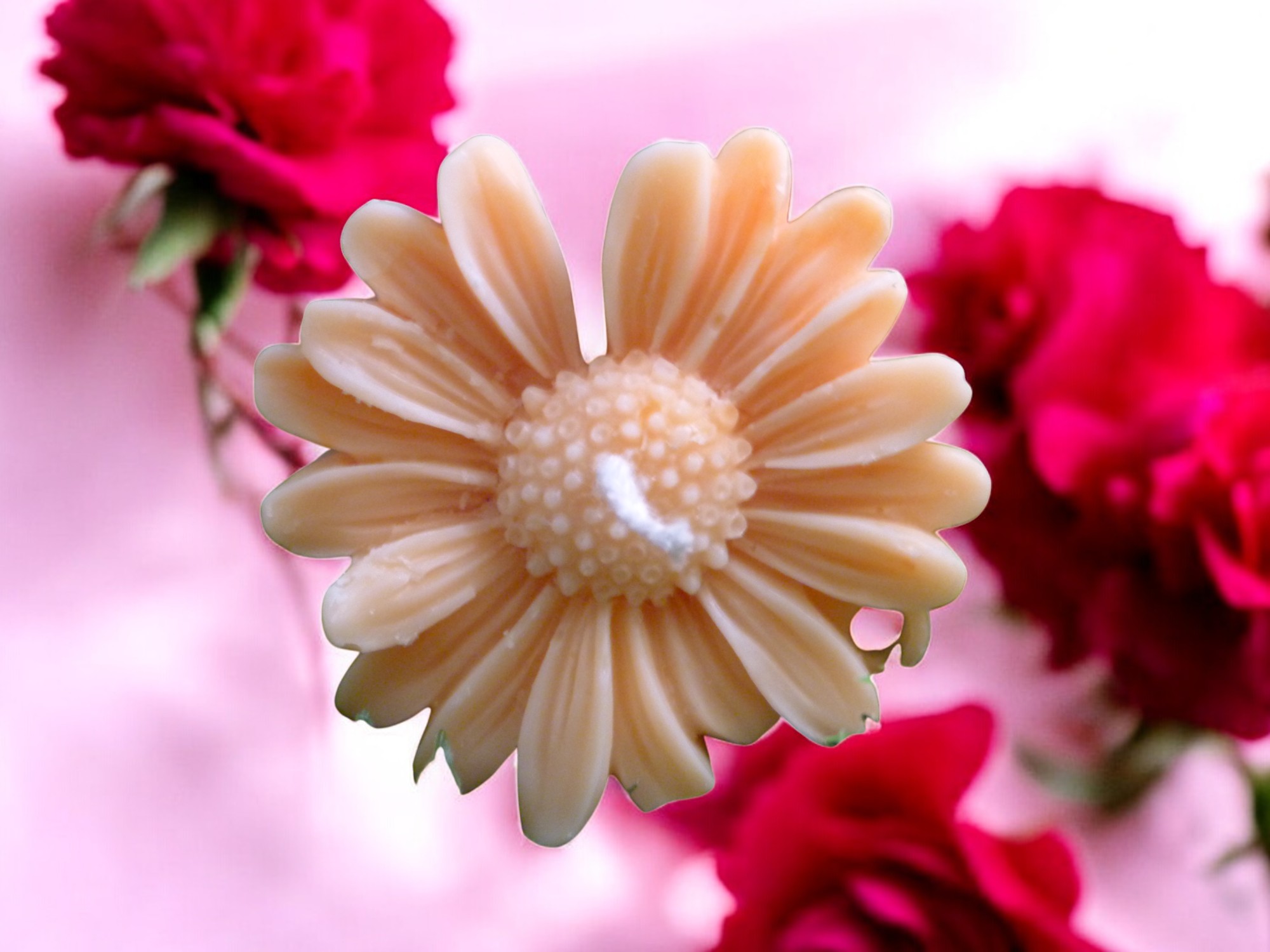 (image for) Margriet Kaars