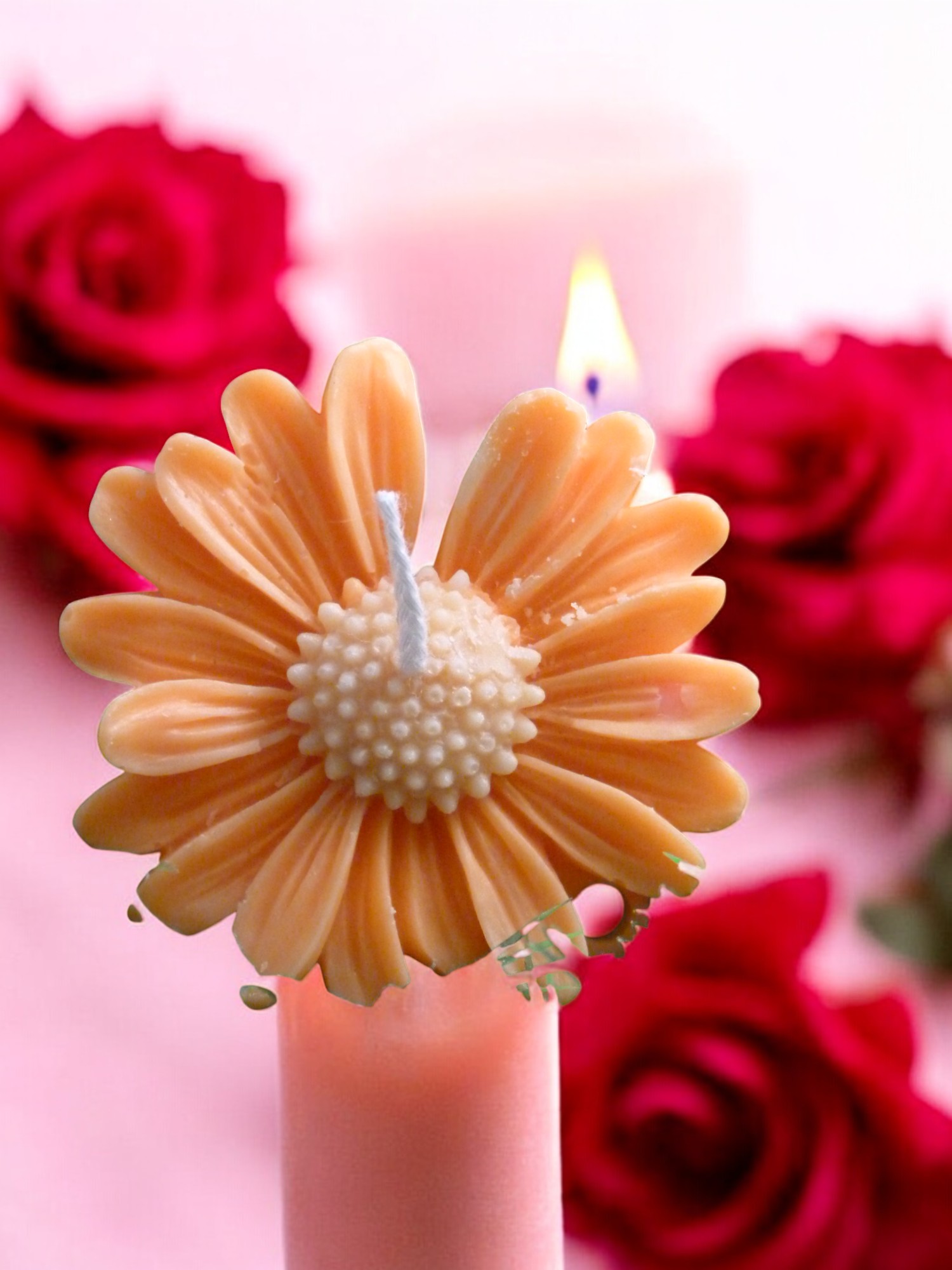 (image for) Margriet Kaars