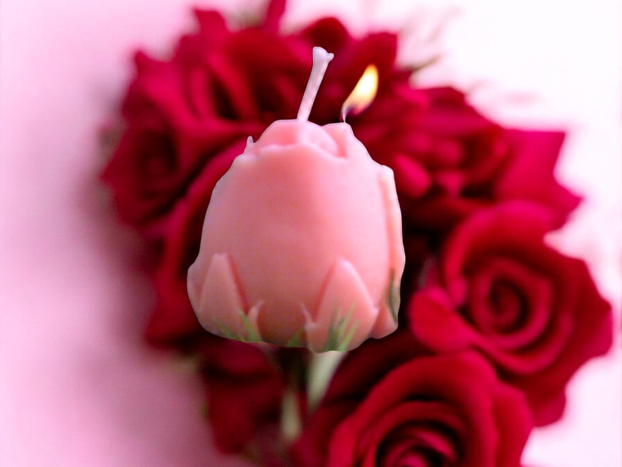 (image for) Rozen Knop Kaars