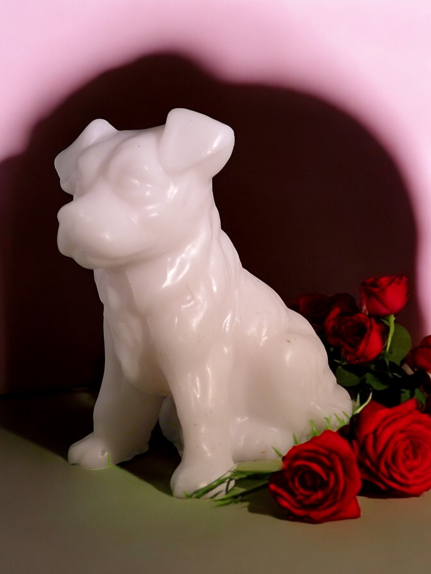 (image for) Jackrussellterriër Zeepje Groot