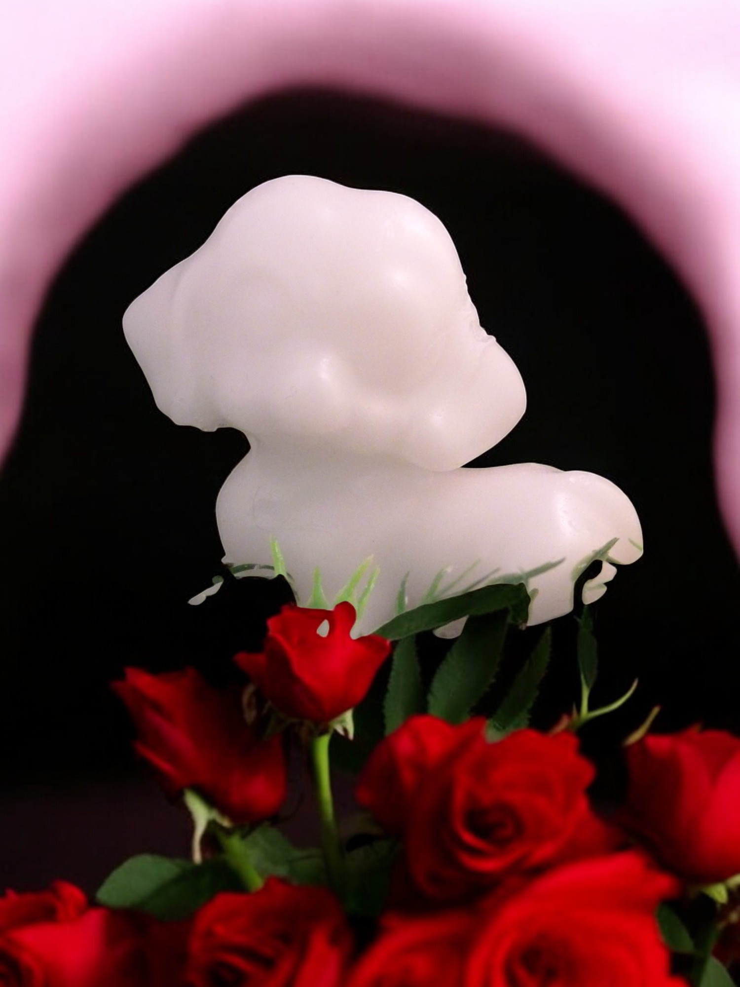 (image for) Hondje Zeepje