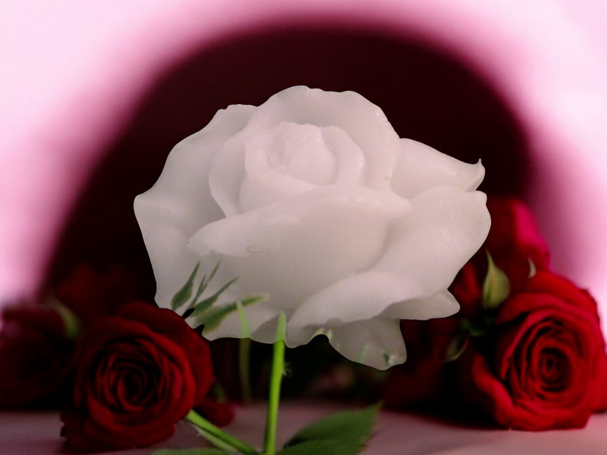 (image for) Plat Roosje Zeepje