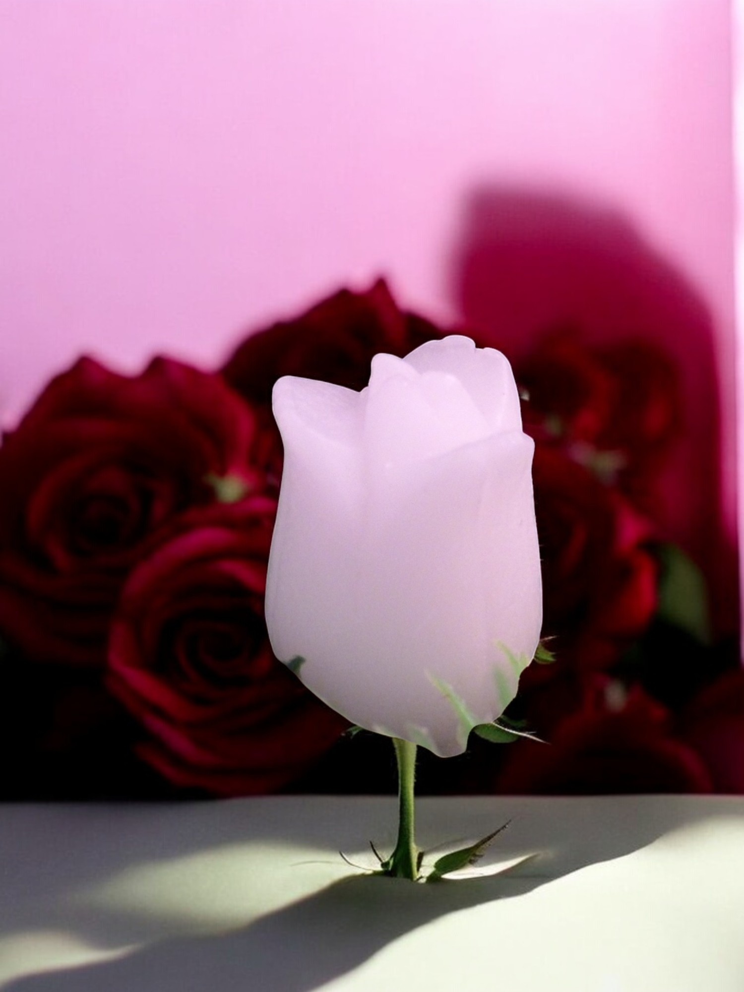 (image for) Tulpje Zeepje