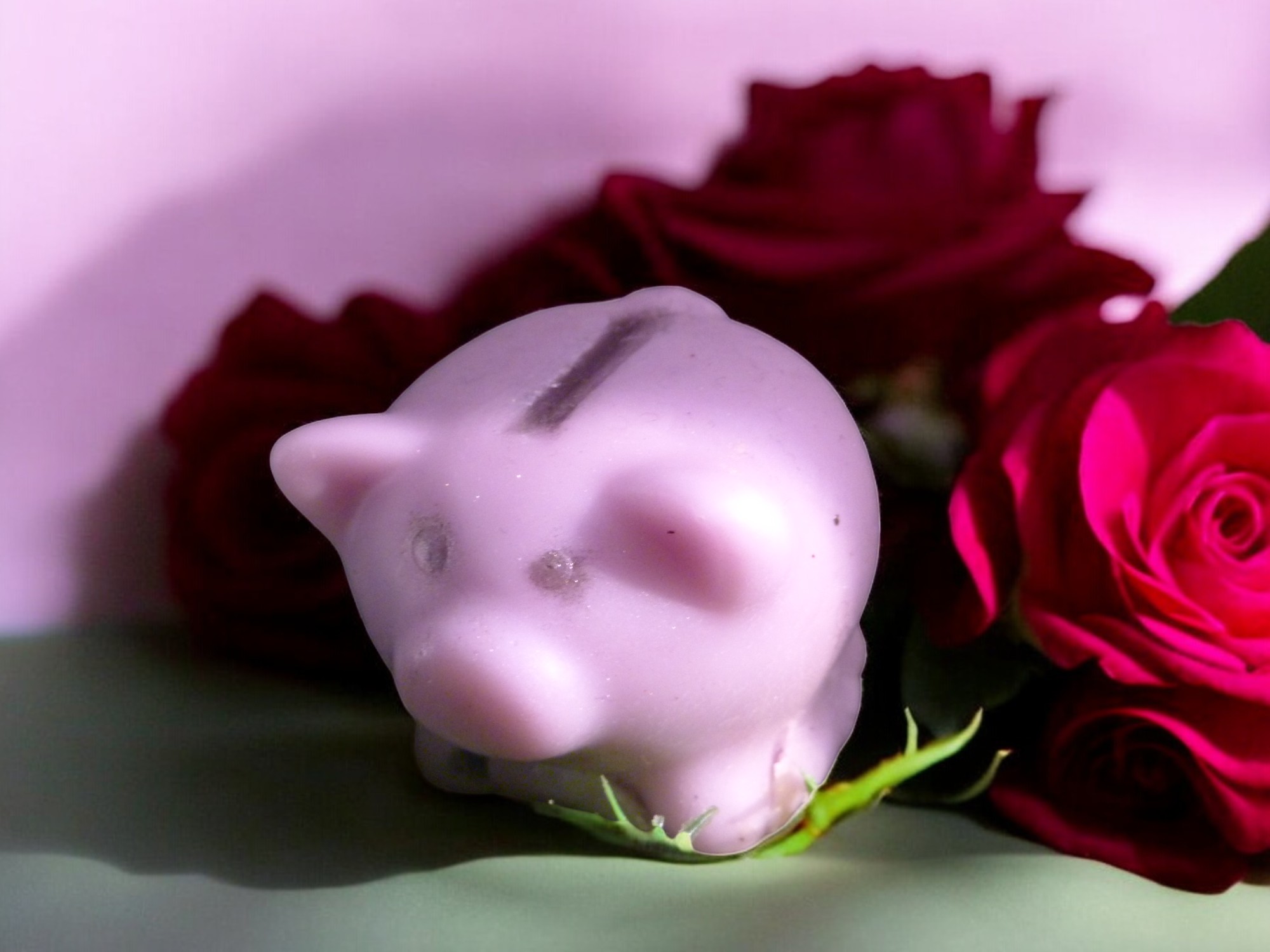 (image for) Spaarvarken Zeepje met Mica