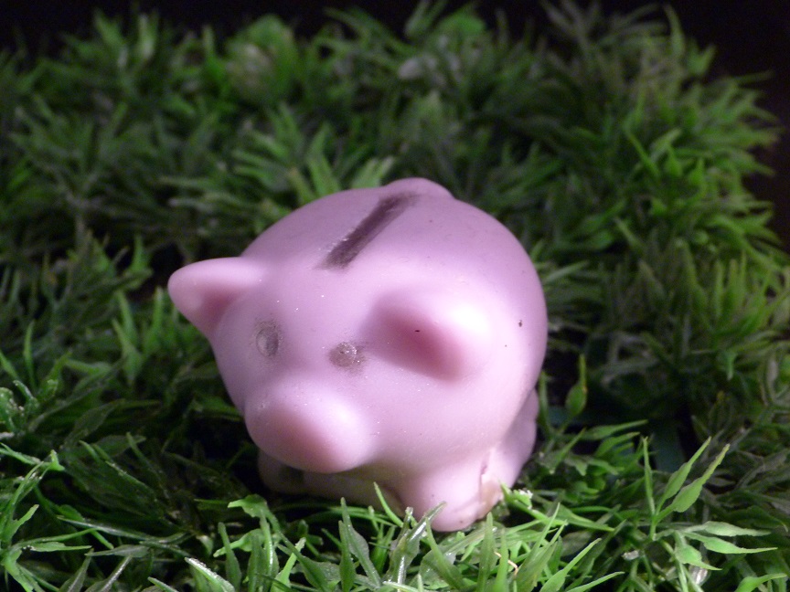 (image for) Spaarvarken Zeepje met Mica