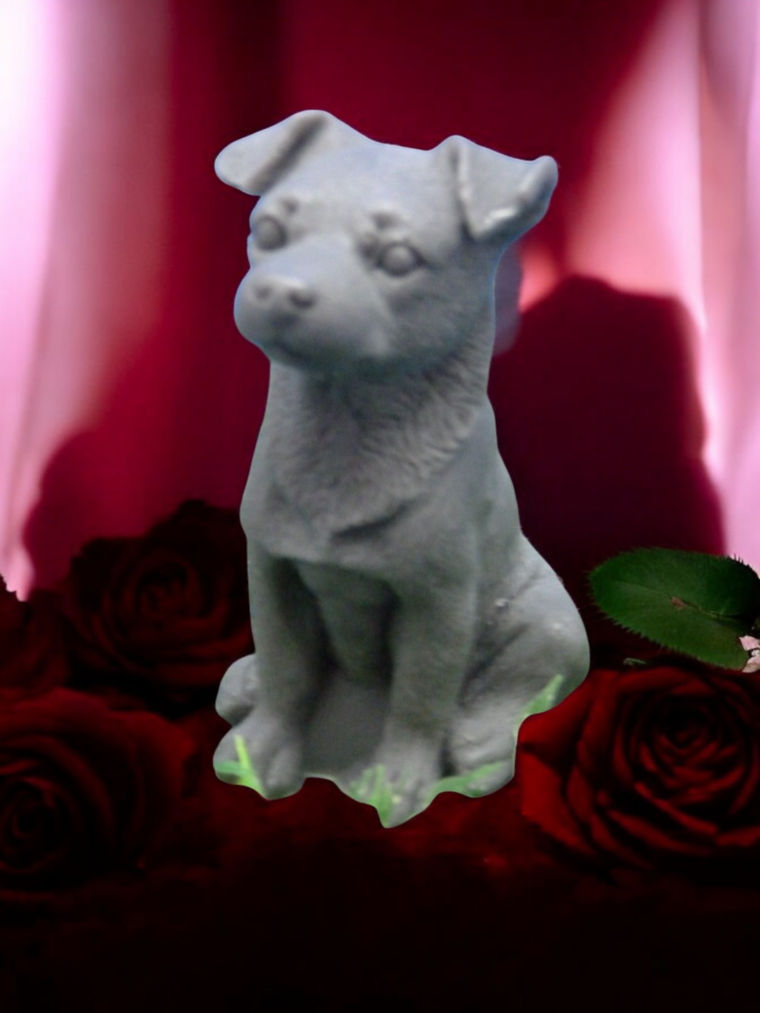 (image for) Jackrussellterriër Zeepje Klein