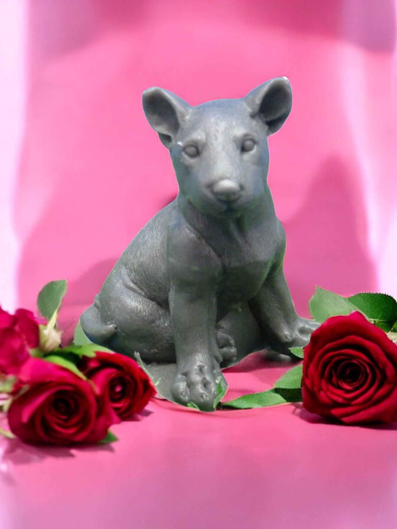 (image for) Bulterriër Zeepje