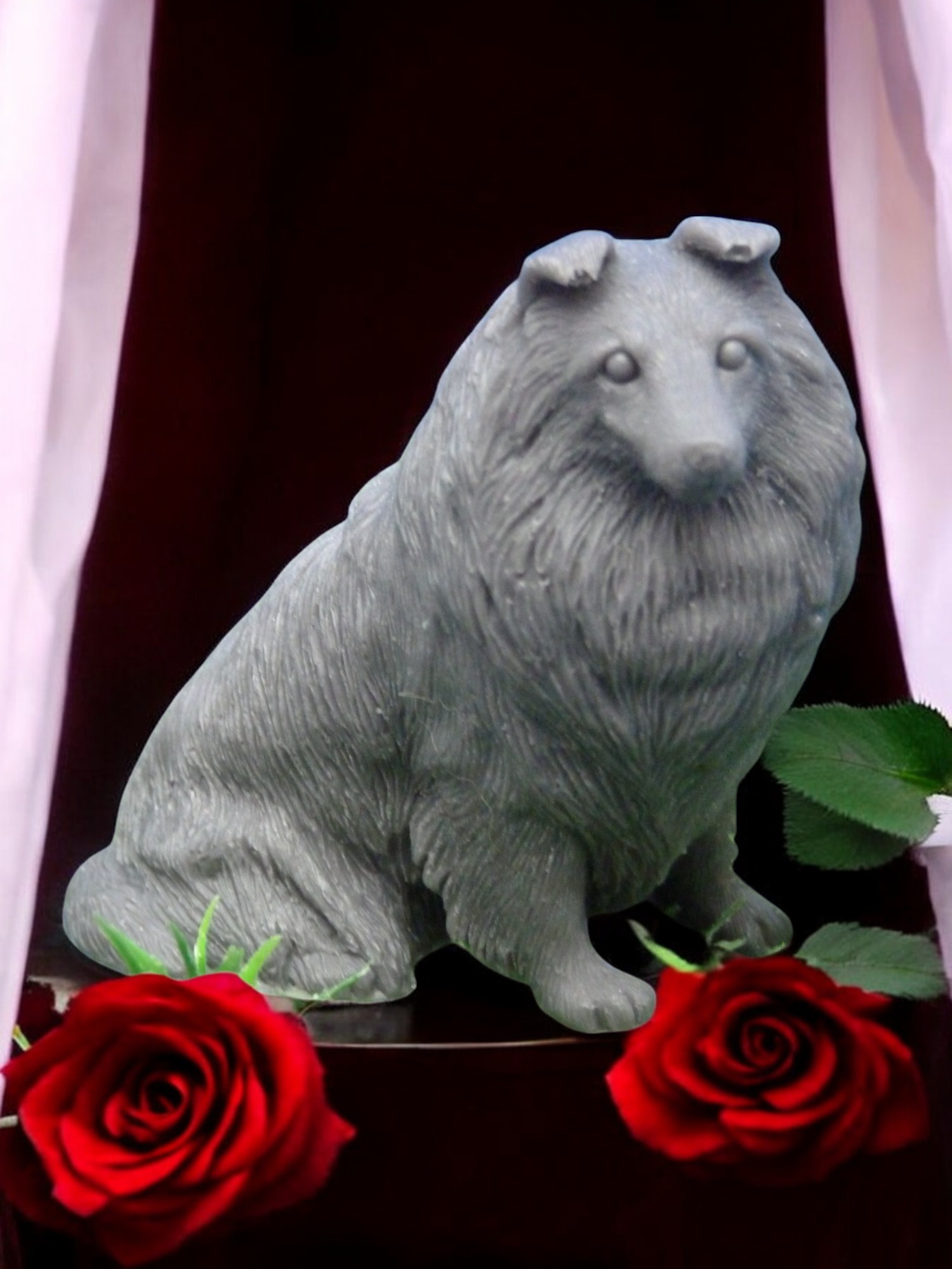 (image for) Schotse herdershond (Collie) Zeepje Groot