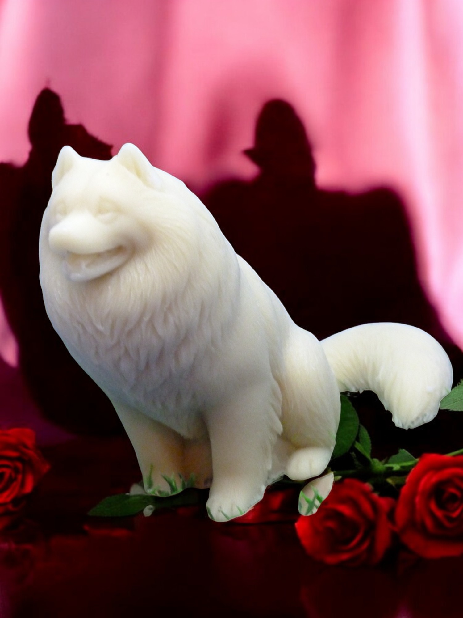 (image for) Samojeed Zeepje