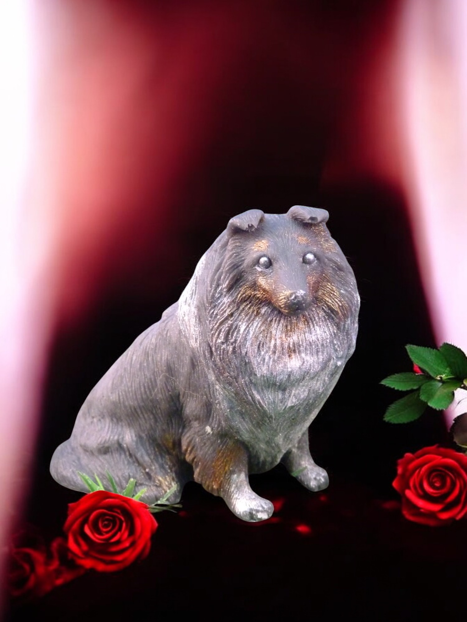 (image for) Schotse herdershond (Collie) Zeepje met Mica Groot