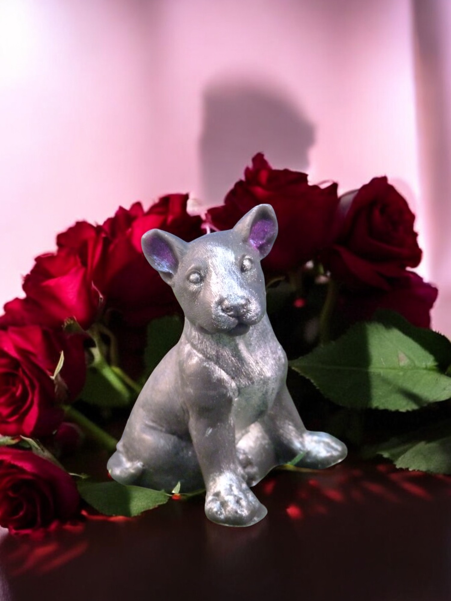 (image for) Bulterriër Zeepje met Mica