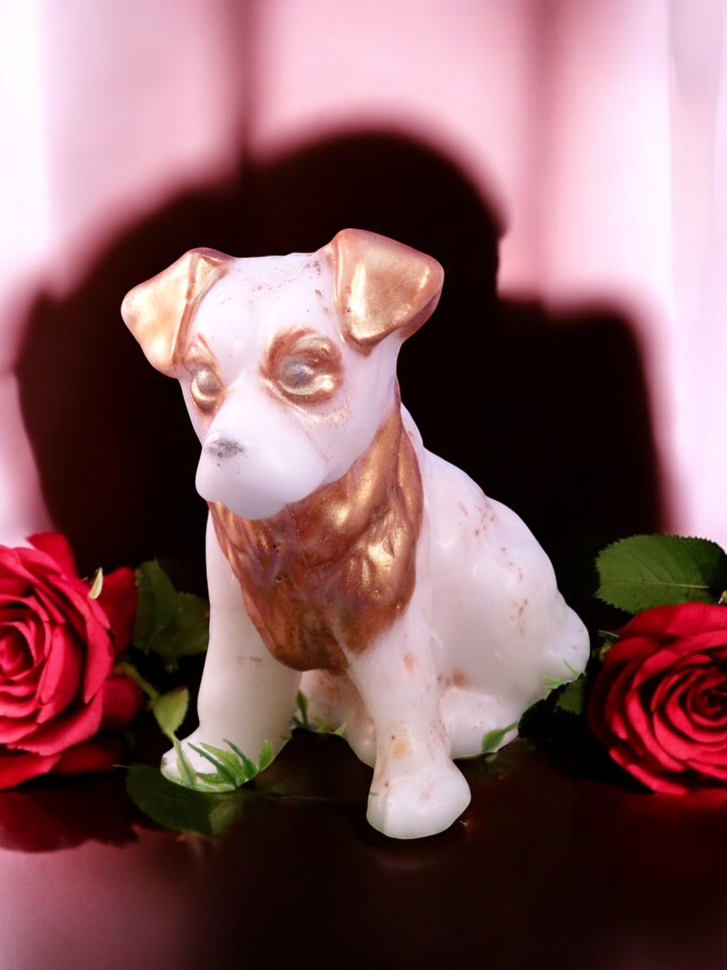 (image for) Jackrussellterriër Zeepje met Mica Groot