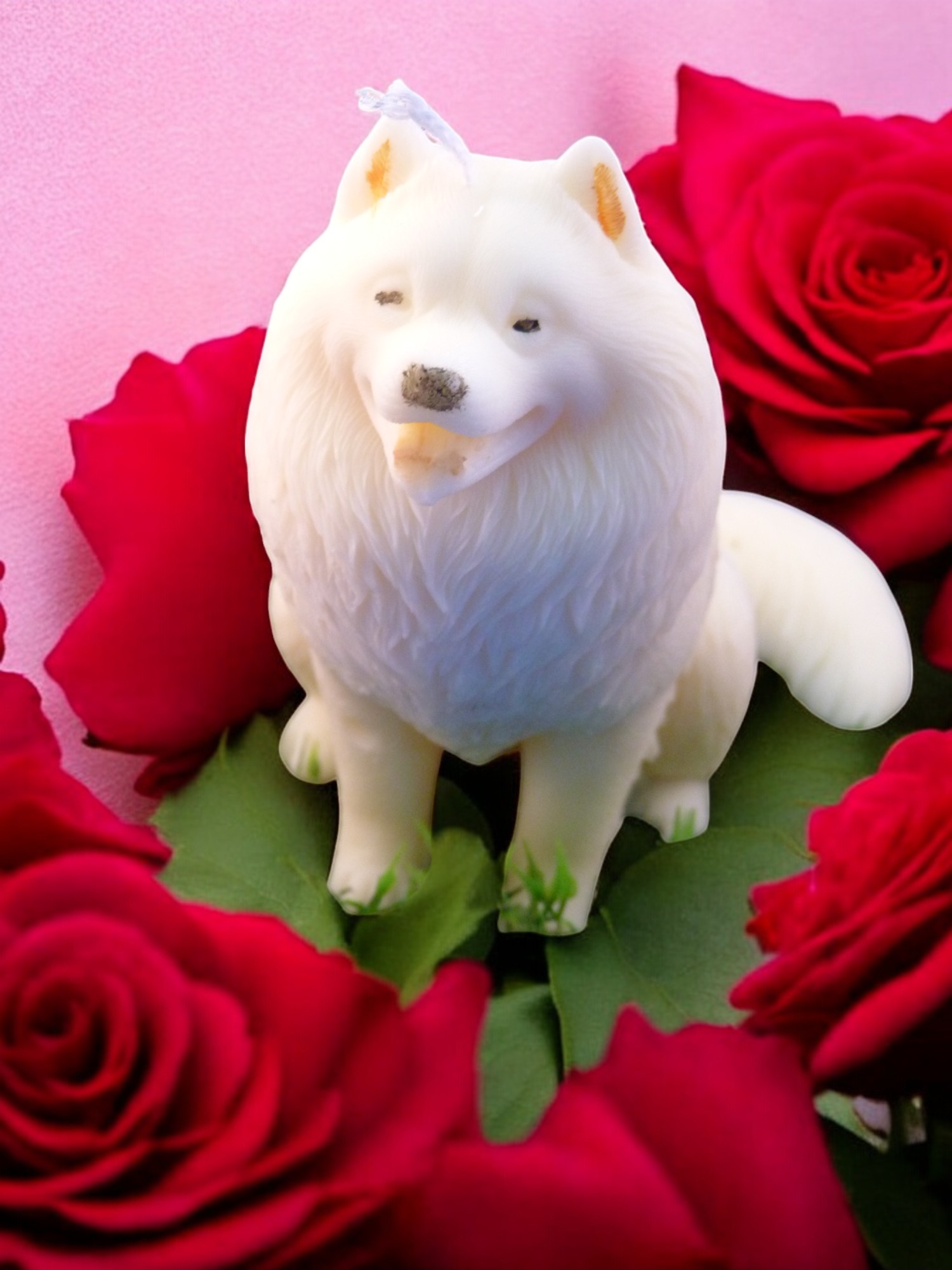 (image for) Samojeed Kaars