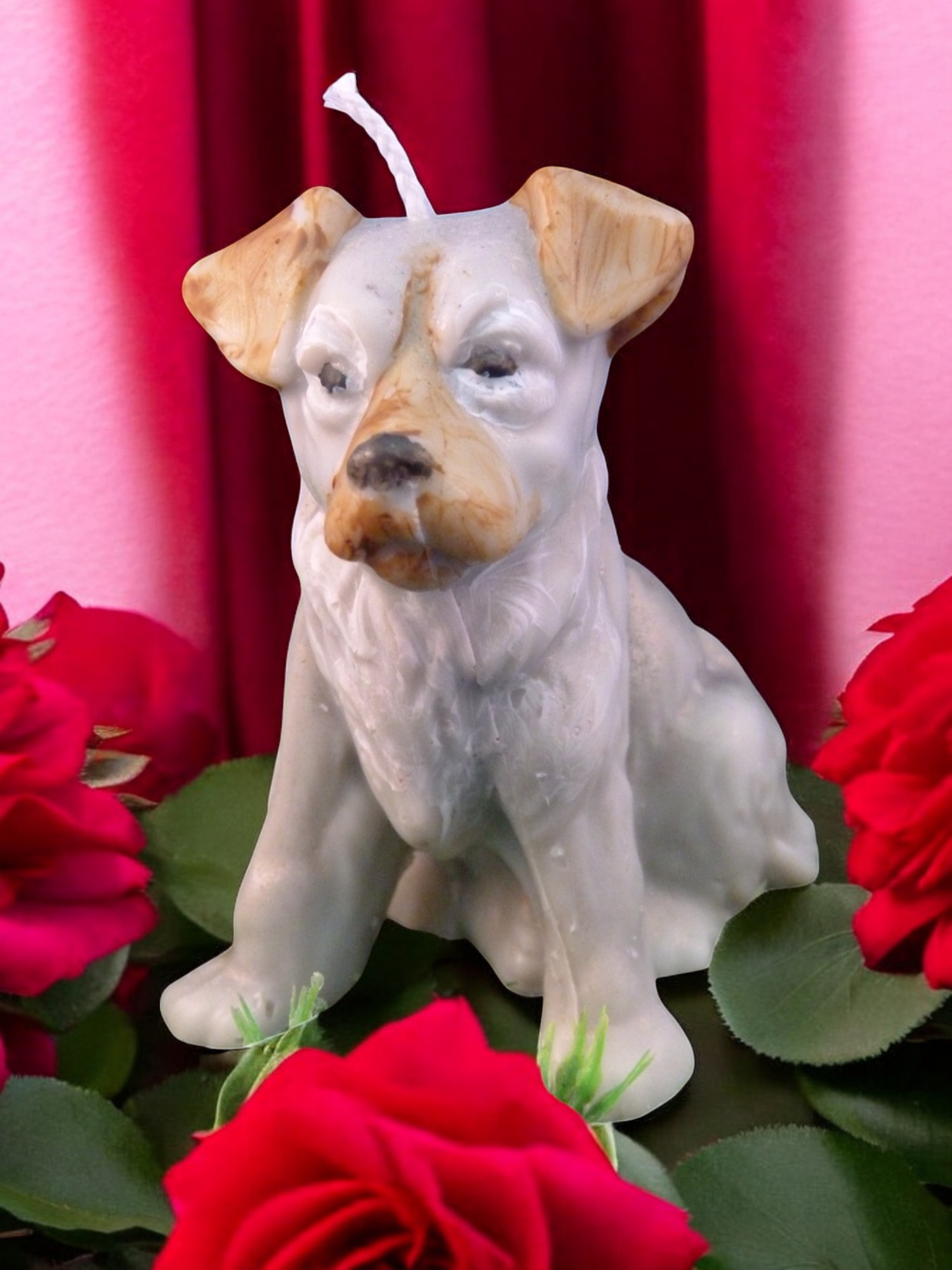 (image for) Jackrussellterriër Kaars Groot