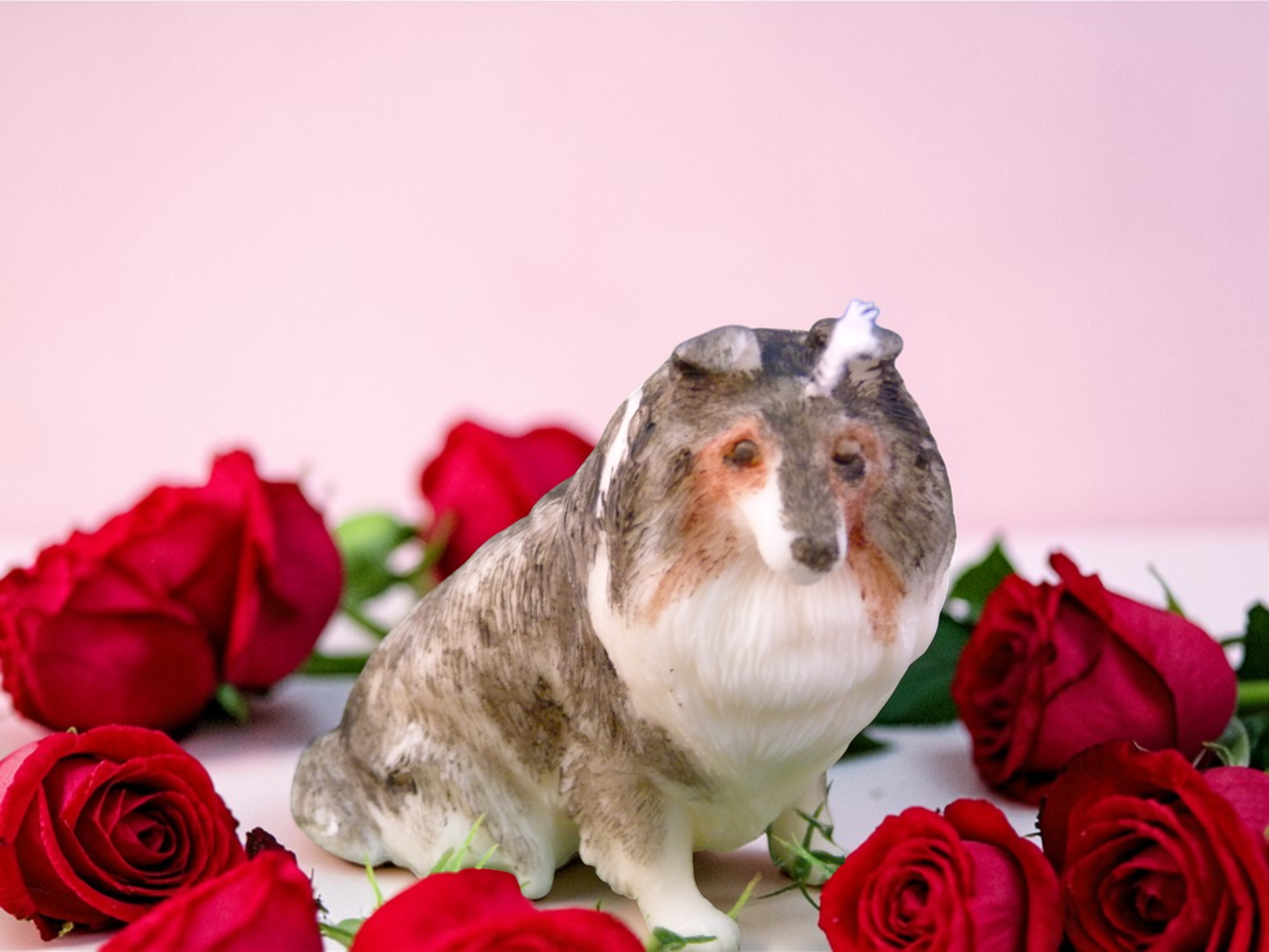 (image for) Schotse herdershond (Collie) Kaars Groot