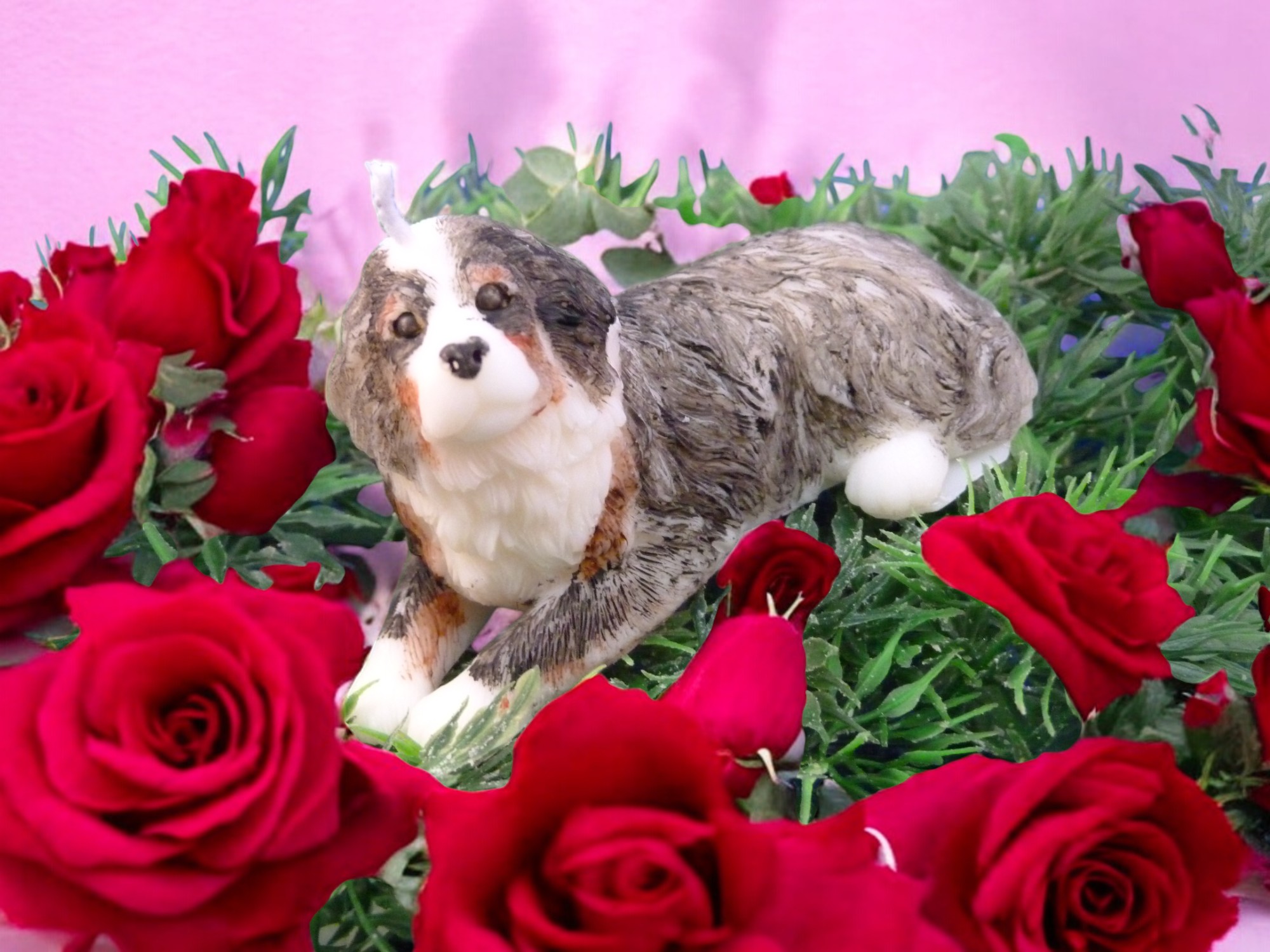 Berner Sennen Kaars (image for) Berner Sennen Kaars