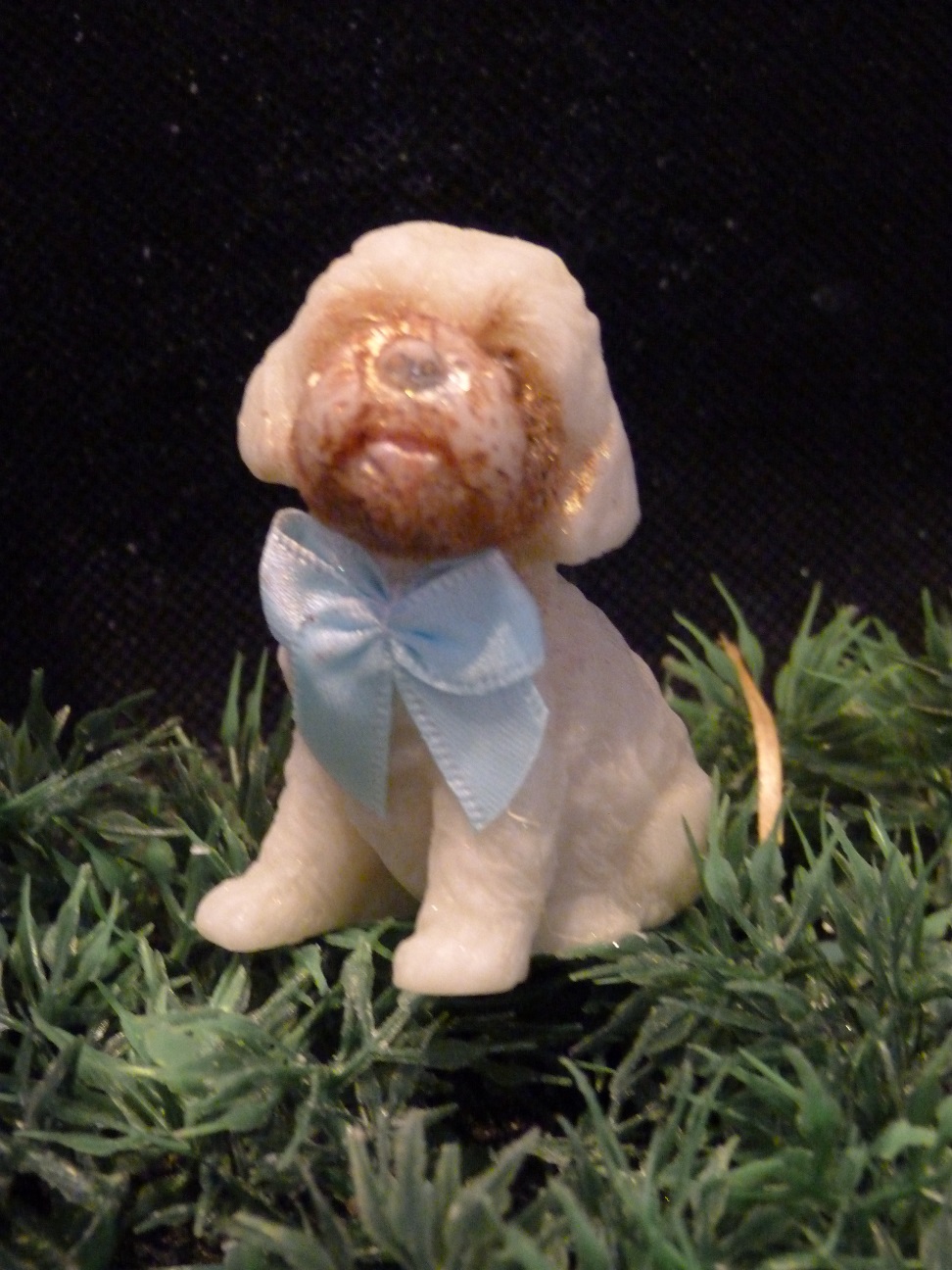 (image for) Labradoodle Zeepje met Mica