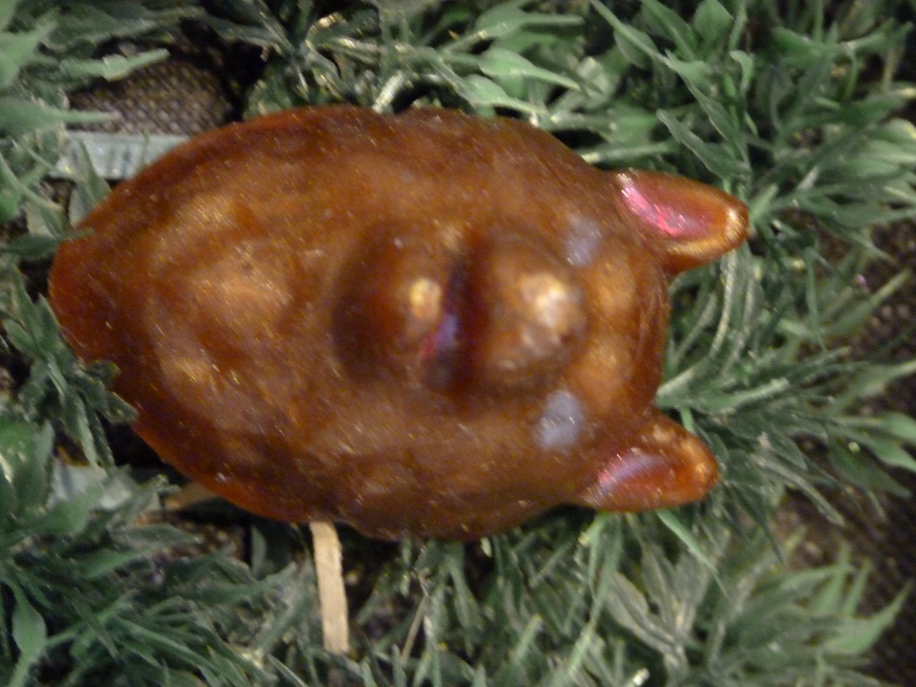 (image for) Wolven Kop Zeepje met Mica