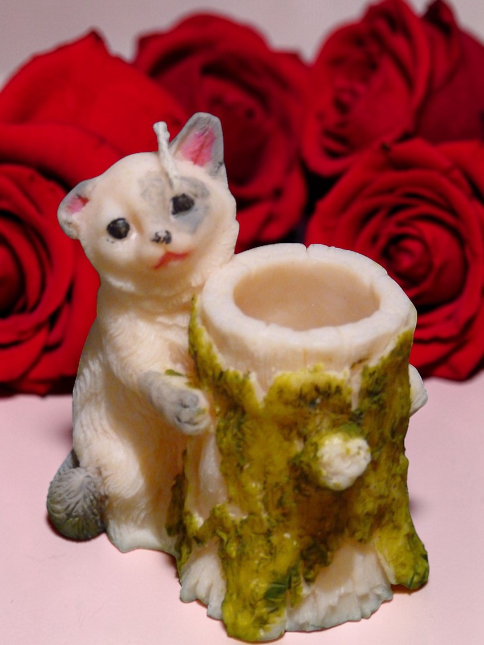 (image for) Kat met Boomstam Kaars