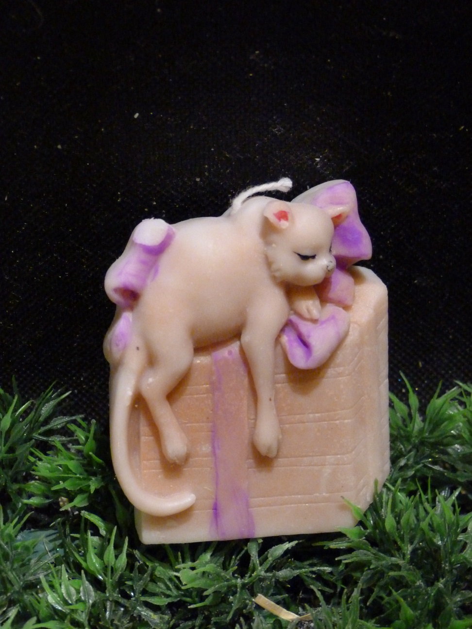 (image for) Kat op een Cadeau Kaars