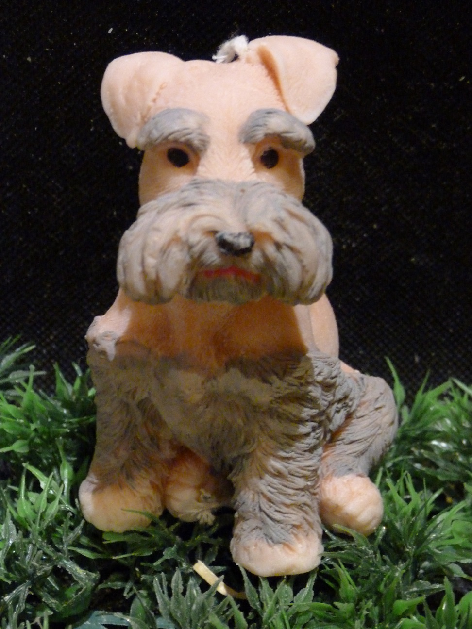 (image for) Schnauzer Kaars