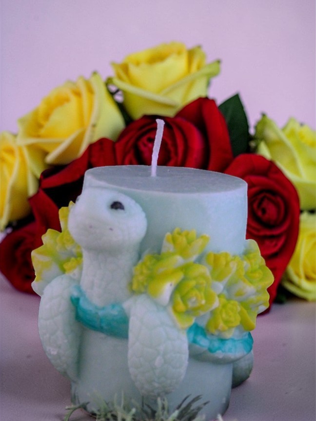 Schildpad Kaars Nr 3 (image for) Schildpad Kaars Nr 3