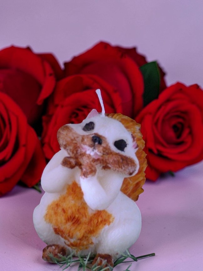 Verliefde Eekhoorn (image for) Verliefde Eekhoorn