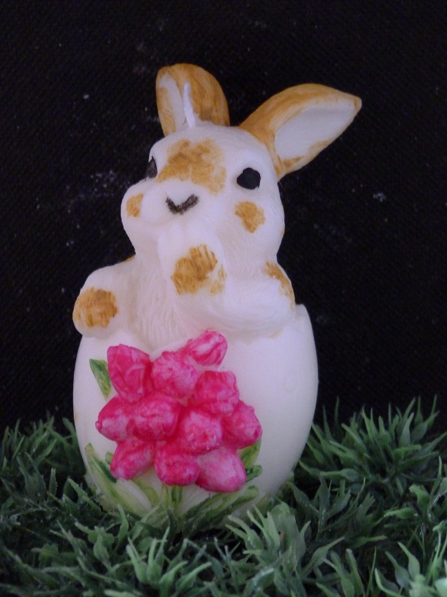 (image for) Konijn in een ei Kaars