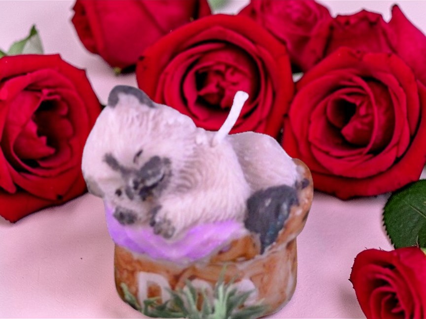 (image for) Katje in een Honden Mand Kaars (eigen creatie)